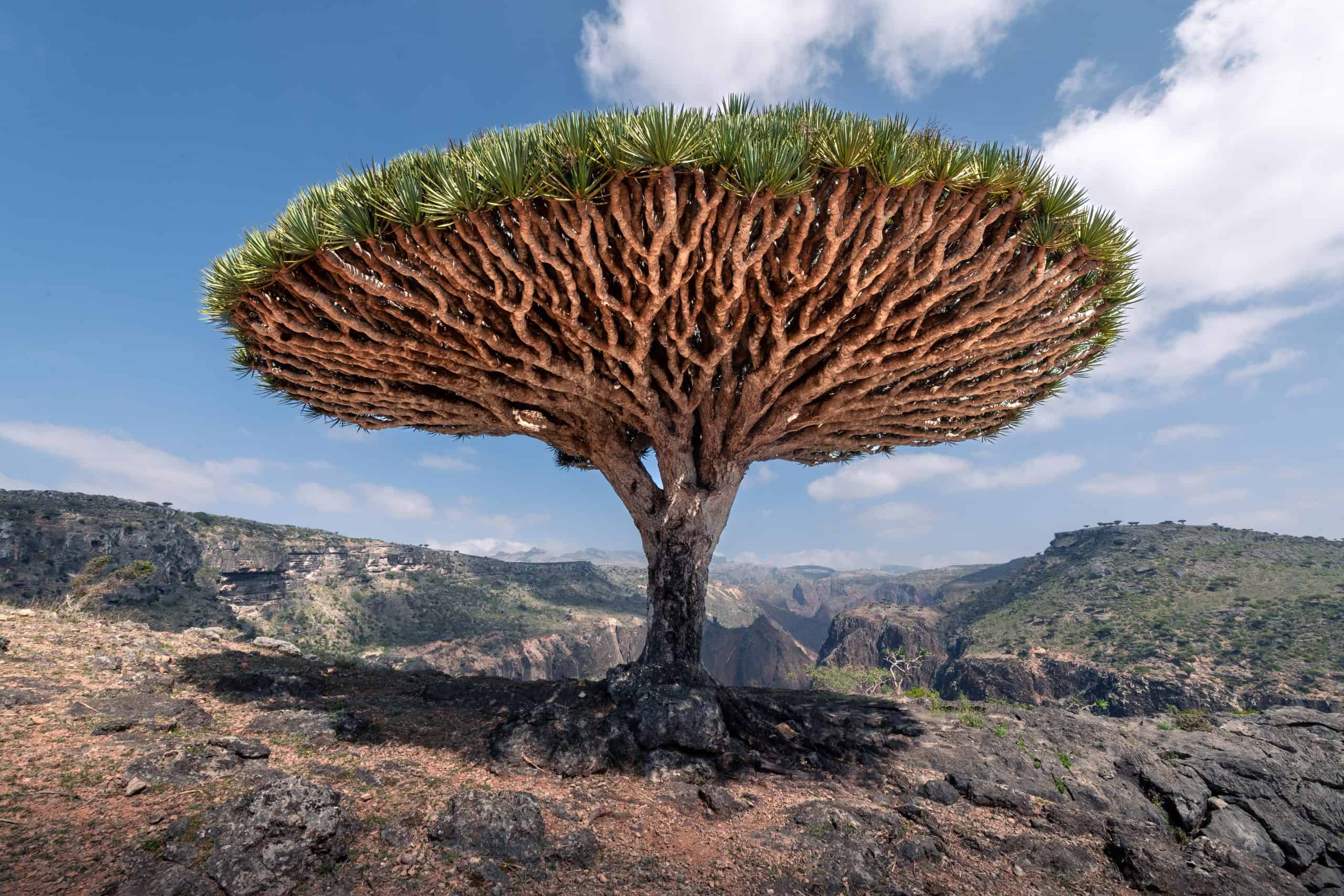These 15 “Bucket List” Destinations Are a Waste of Time 9 15 Worst Destinations For Flashpackers In The World, 10 Worst Countries to Visit in the World, best Yemen esim, Yemen esim unlimited data, unlimited data esim Yemen, best esim for Yemen, Yemen tourist esim, esim Yemen, Yemeni esim, Yemen esim for tourist, Yemen esim for tourists, Yemen prepaid esim, Prepaid eSim in Yemen, cheapest esim in Yemen, best data plan esim Yemen, Airalo Yemen Esim, Holafly Yemen eSim, GigSky Yemen eSim