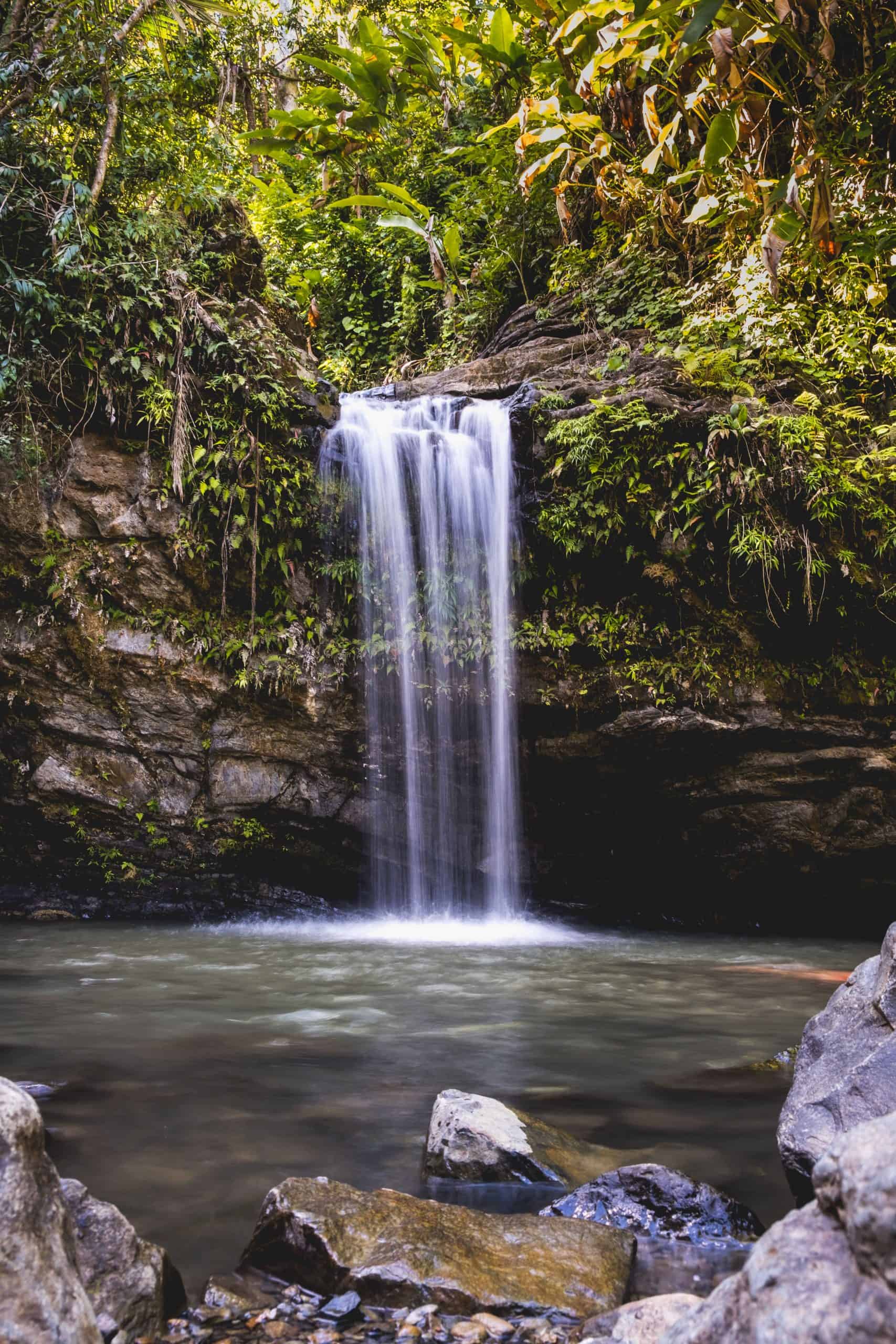 Comparison Puerto Rico vs Aruba - Which Is Better Destination? 5 El Yunque National Forest in Puerto Rico, Puerto Rico vs Bahamas - Choosing Your Next Best Caribbean Vacation