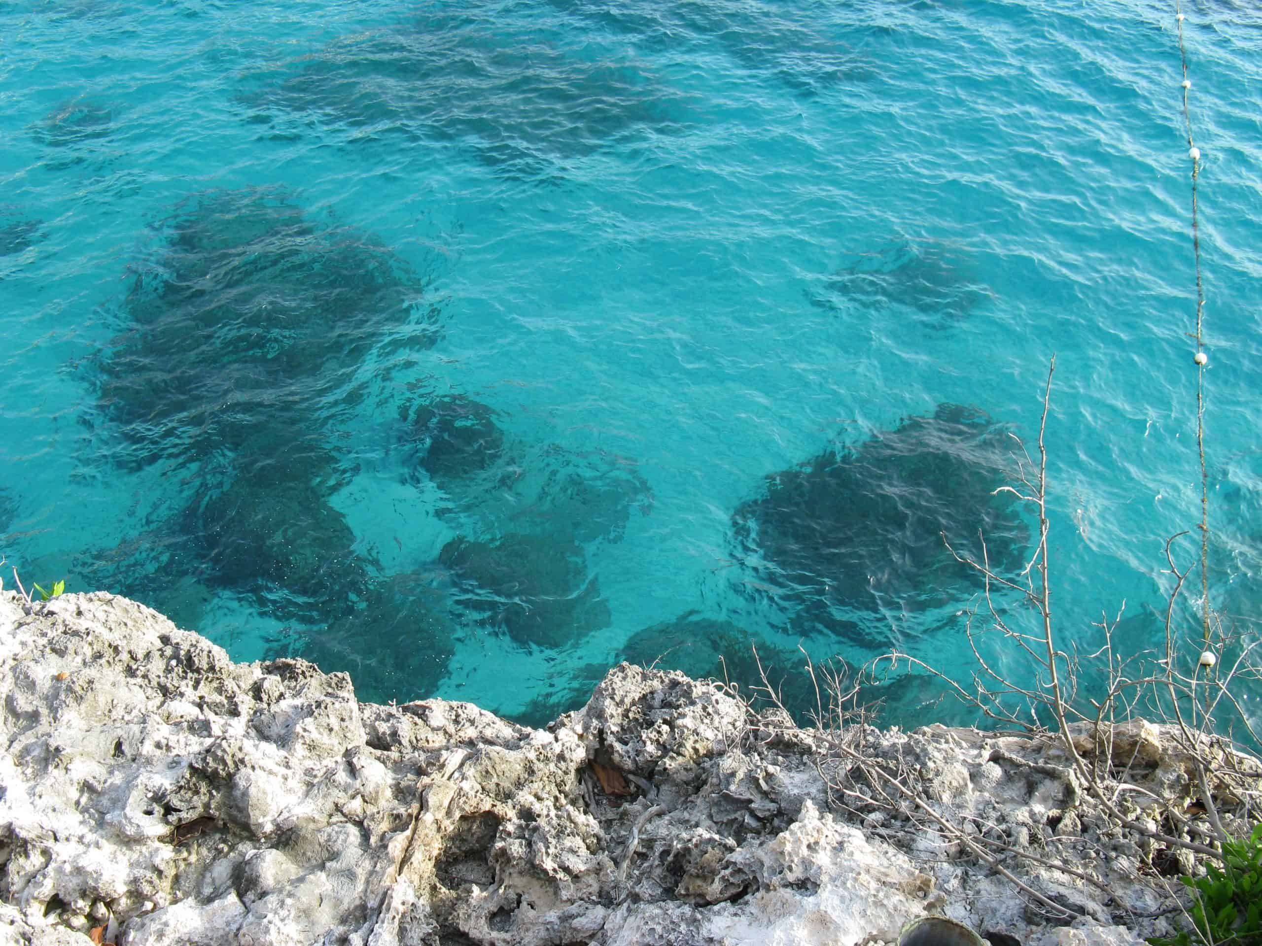 Comparison Negril vs Montego Bay - Which Is Better Vacation In Jamaica 1 Negril vs Montego Bay - 10 Ways in Choosing the Best Jamaican Holiday