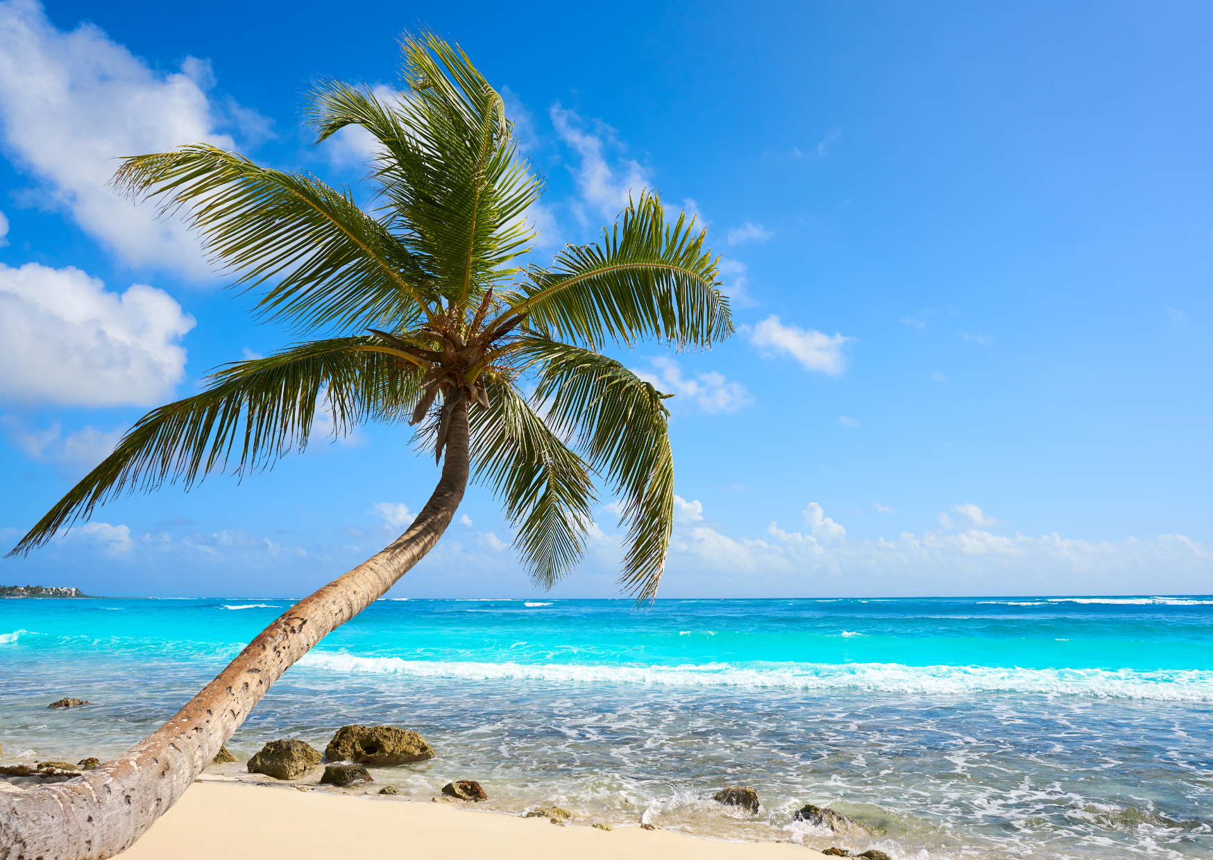 Comparison Akumal vs Playa del Carmen - Which is Better in Riviera Maya? 3 Akumal Beach in Mexico, Akumal vs Playa del Carmen - Which is Better in Riviera Maya?