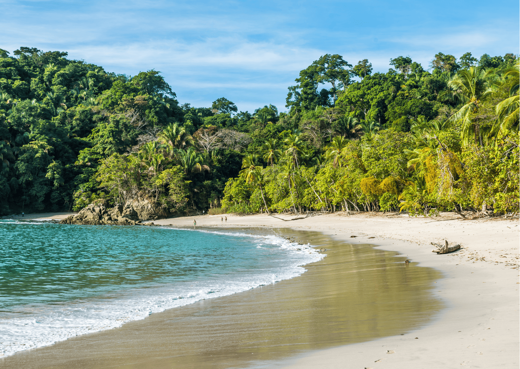 Costa Rica vs Bahamas - Which is the Better Vacation For 2025? 10 Manuel Antonio Beach in Costa Rica - Costa Rica vs Bahamas