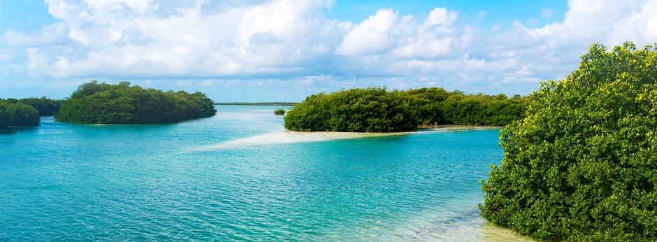 Comparison Tulum vs Playa del Carmen - Is Playa del Carmen Better? 12 Sian Kaan UNESCO World Heritage Centre