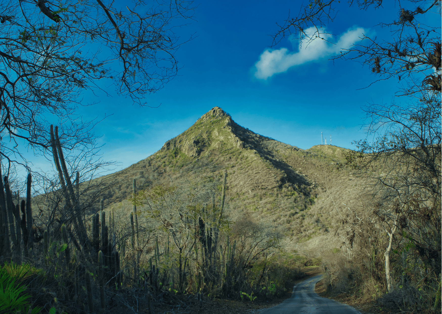 Best 7-Day Curacao Itinerary - How Many Days in Curacao 10 Christoffel Mountain in Curacao - How many days in Curacao