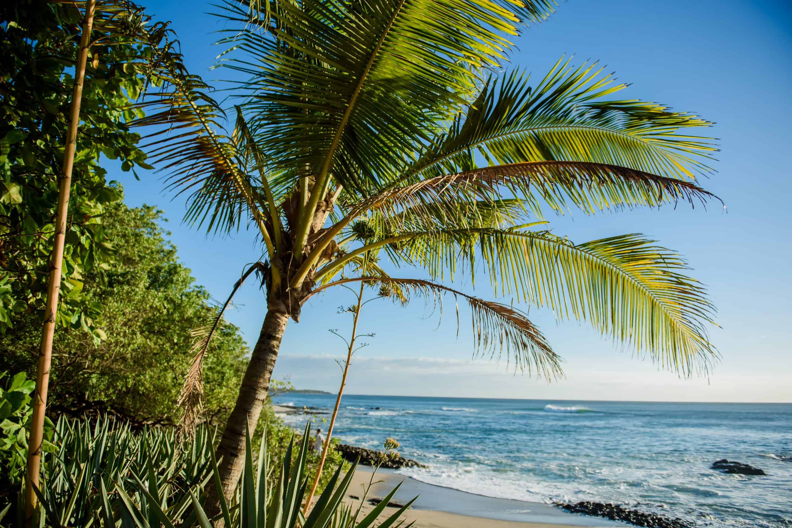 Tamarindo vs Santa Teresa - Which is the Better Costa Rican Vacation? 5 Tamarindo vs Santa Teresa - Which is the Better Costa Rican Vacation?