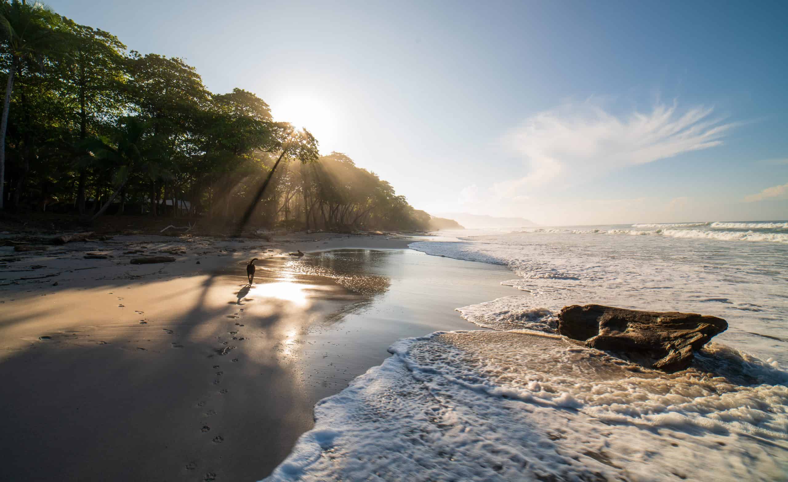 Nosara vs Santa Teresa - Which is the Better Vacation in Costa Rica? 4 Playa Santa Teresa - Nosara vs Santa Teresa in Costa Rica