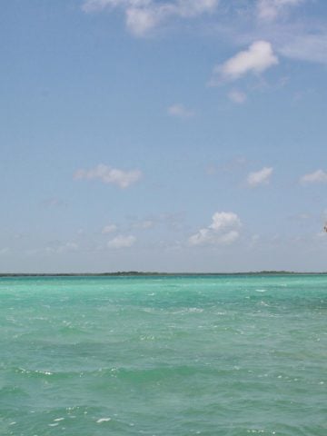 How To Get From Palenque to Bacalar - All Possible Ways, cheapest way from Palenque to Bacalar, Palenque to Bacalar, ado bus from Palenque to Bacalar, AU Autobuses Unidos bus from Palenque to Bacalar, shared van from Palenque to Bacalar, Colectivo from Palenque to Bacalar, Uber from Palenque to Bacalar, taxi from Palenque to Bacalar