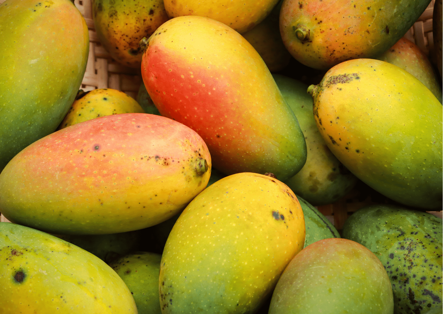 Fruits in Dominican Republic - Traditional and Exotic Fruits in Dominican Republic You Can't Miss 3 Fruits in Dominican Republic - Traditional and Exotic Fruits in Dominican Republic You Can't Miss