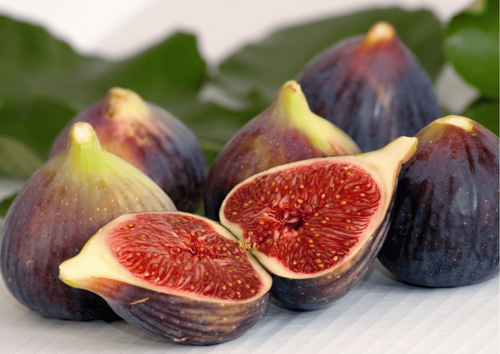 Exotic El Salvador Fruits - 30 Fruits in El Salvador to Try 13 Exotic El Salvador Fruits - 30 Fruits in El Salvador to Try