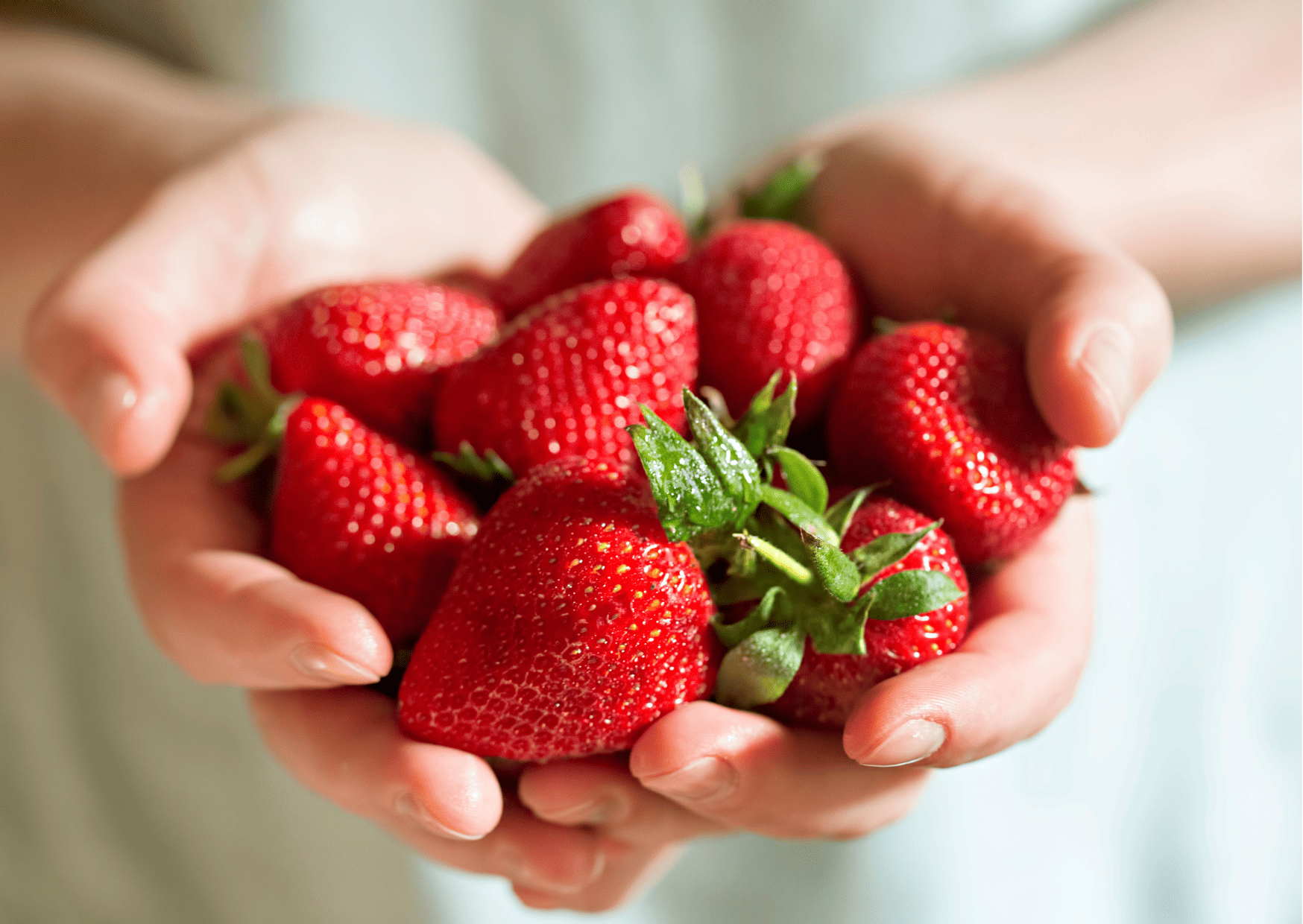 Korean Fruits - A Guide to Seasonal Fruits in Korea, Traditional and Imported Fruits 3 Korean strawberries (딸기 - ttalgi) , Korean Fruits - A Guide to Seasonal Fruits in Korea, Traditional Korean Fruits and Imported Fruits