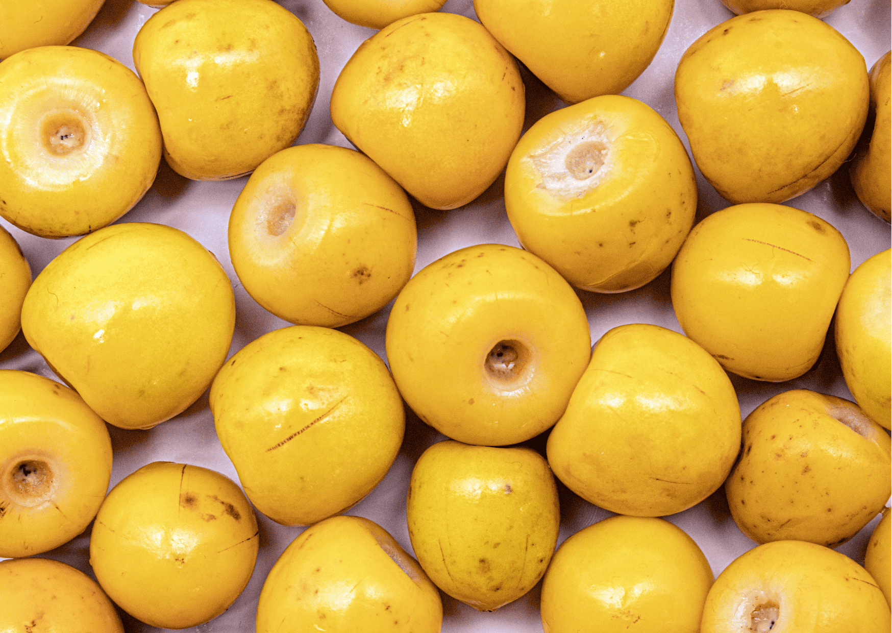 Fruits in Panama - 32 Exotic Panamanian Fruits You Need to Try When in Panama 7 Nance, Panamanian Fruits, Fruits in Panama