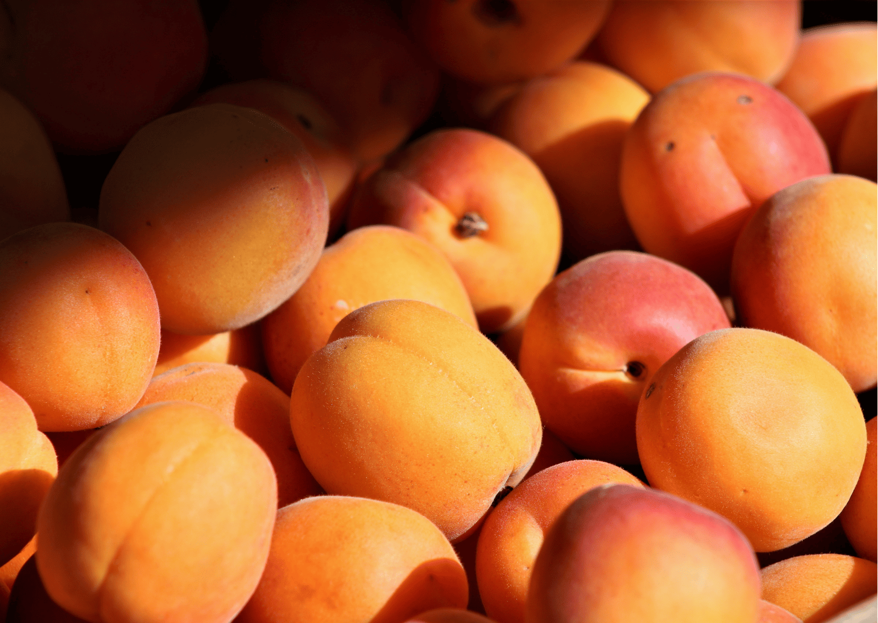 Korean Fruits - A Guide to Seasonal Fruits in Korea, Traditional and Imported Fruits 5 Peaches - - Korean Fruits - A Guide to Seasonal Fruits in Korea, Traditional Korean Fruits and Imported Fruits