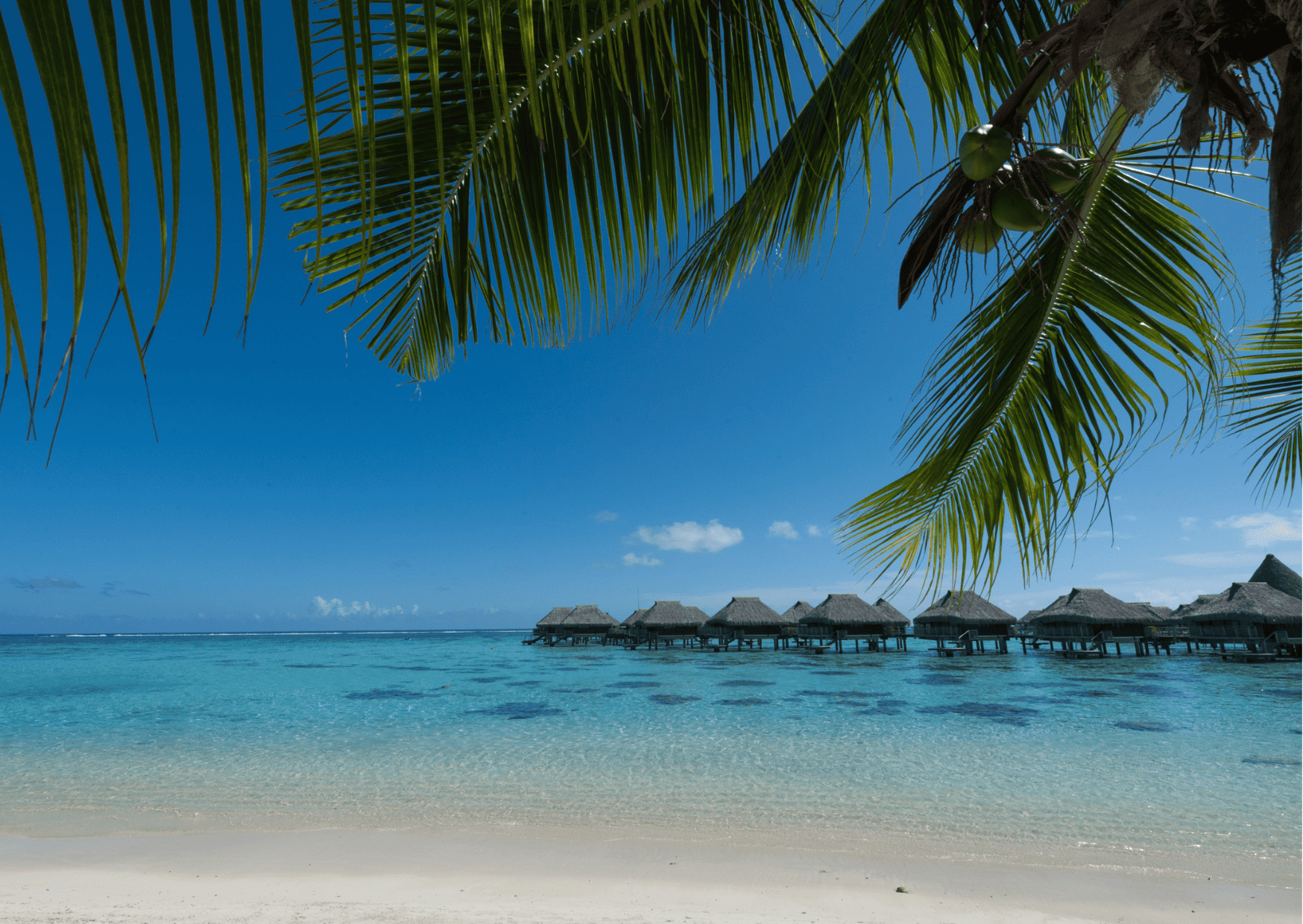 Tahiti vs Hawaii, Hawaii vs Tahiti
