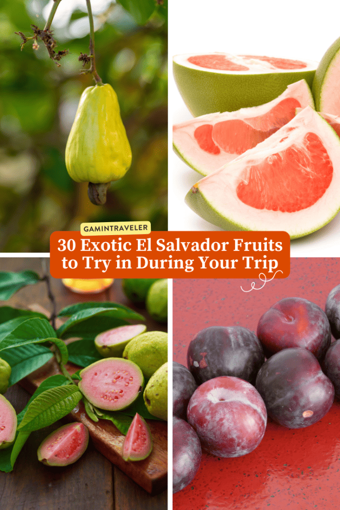 Exotic El Salvador Fruits - 30 Fruits in El Salvador to Try 1 Exotic El Salvador Fruits - 30 Fruits in El Salvador to Try