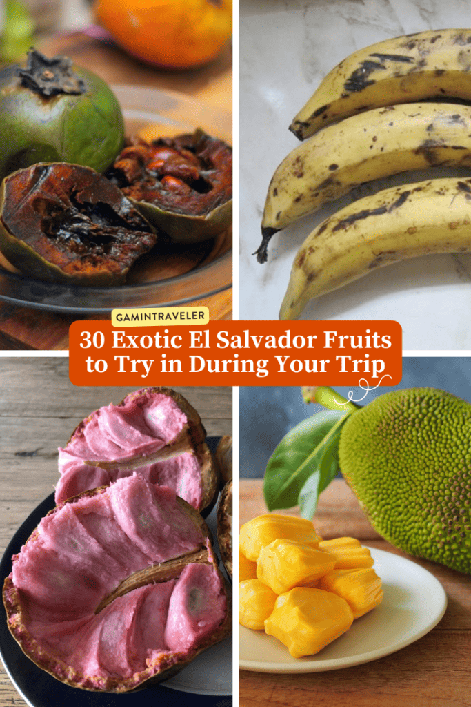 Exotic El Salvador Fruits - 30 Fruits in El Salvador to Try 2 Exotic El Salvador Fruits - 30 Fruits in El Salvador to Try
