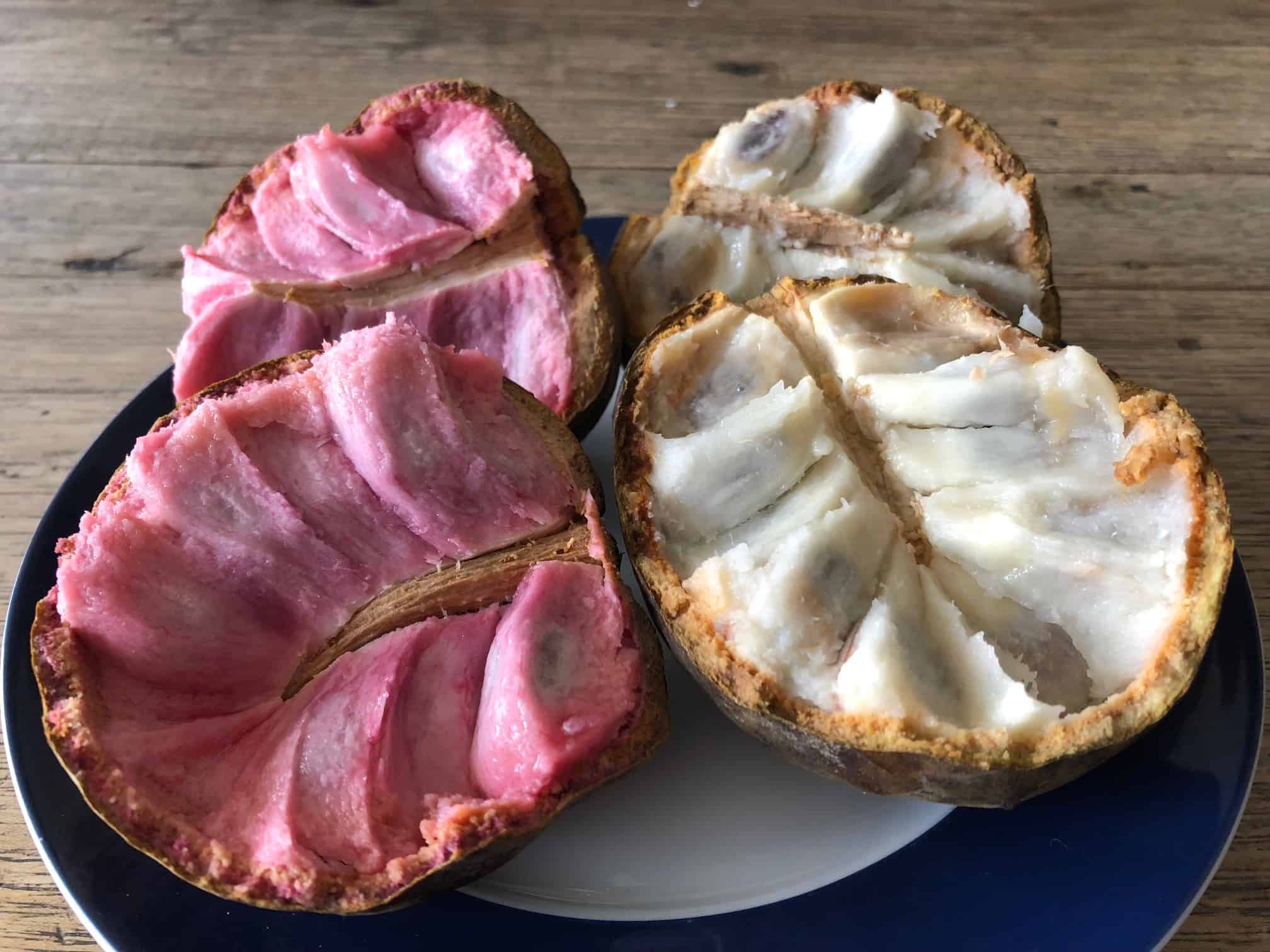 Exotic El Salvador Fruits - 30 Fruits in El Salvador to Try 16 Exotic El Salvador Fruits - 30 Fruits in El Salvador to Try