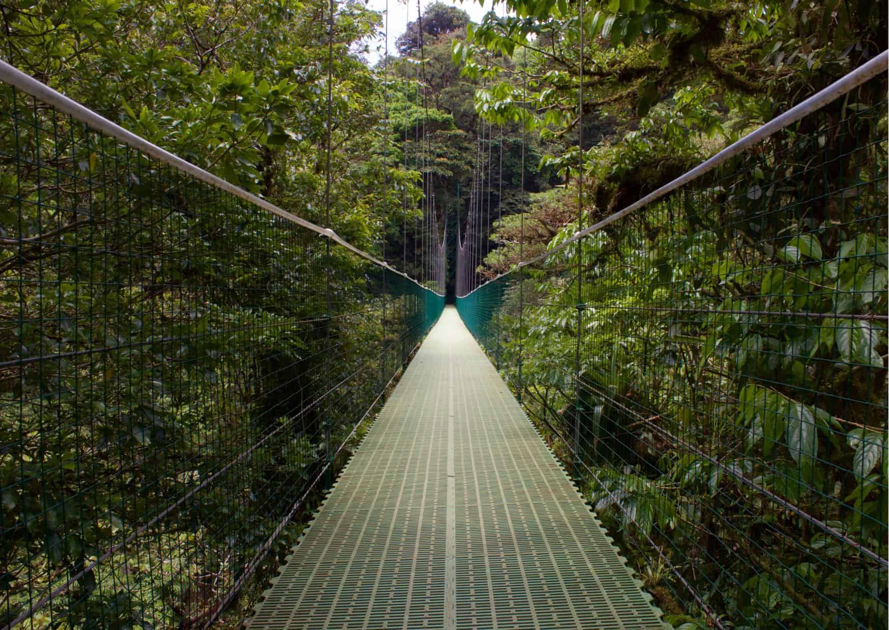 14 Weirdest Places to Visit in Costa Rica 4 14 Weirdest Places to Visit in Costa Rica, 10 Beautiful Towns in Costa Rica, How To Get From Playa Flamingo to Monteverde Best Way – All Possible Ways, Playa Flamingo to Monteverde, Playa Flamingo to Monteverde transfer, cheapest way from Playa Flamingo to Monteverde, bus from Playa Flamingo to Monteverde, from Playa Flamingo to Monteverde by bus, best way from Playa Flamingo to Monteverde, taxi from Playa Flamingo to Monteverde, private transfer from Playa Flamingo to Monteverde, Shared Van from Playa Flamingo to Monteverde, rent a car in Playa Flamingo, uber from Playa Flamingo to Monteverde