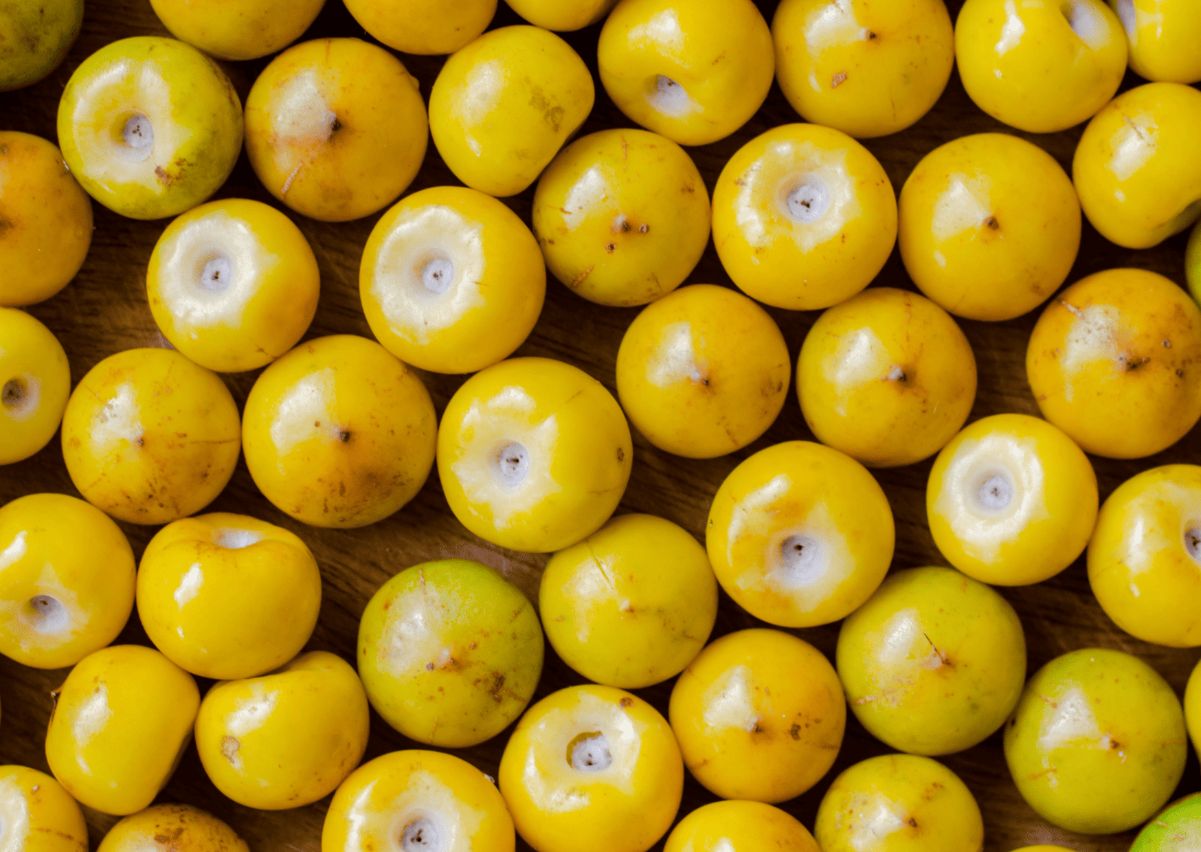 Exotic El Salvador Fruits - 30 Fruits in El Salvador to Try 4 Exotic El Salvador Fruits - 30 Fruits in El Salvador to Try