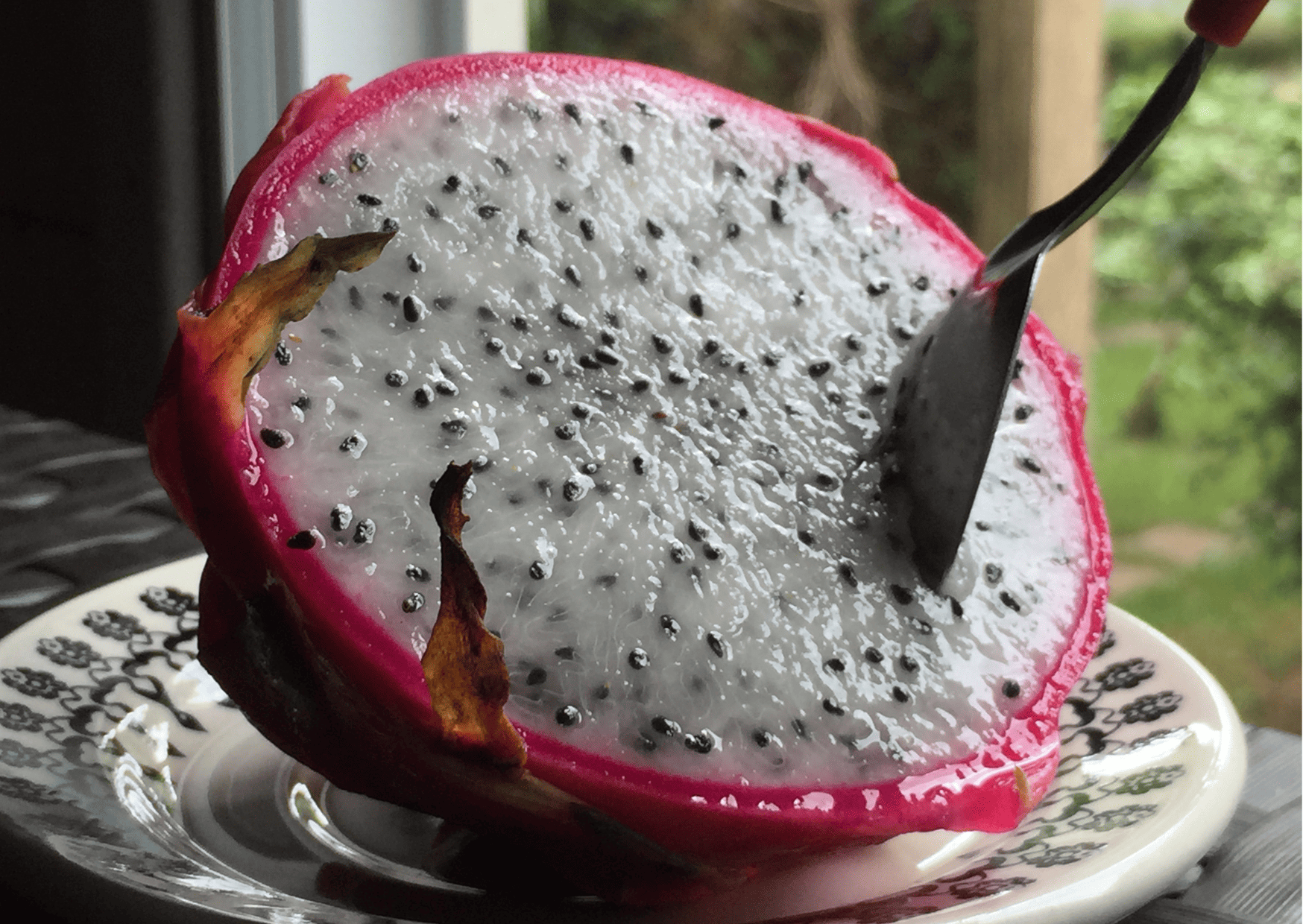 Fruits in Singapore: 25 Tropical Singapore Fruits to Try and Singapore Desserts 16 Fruits in Singapore: 25 Tropical Singapore Fruits to Try and Singapore Desserts