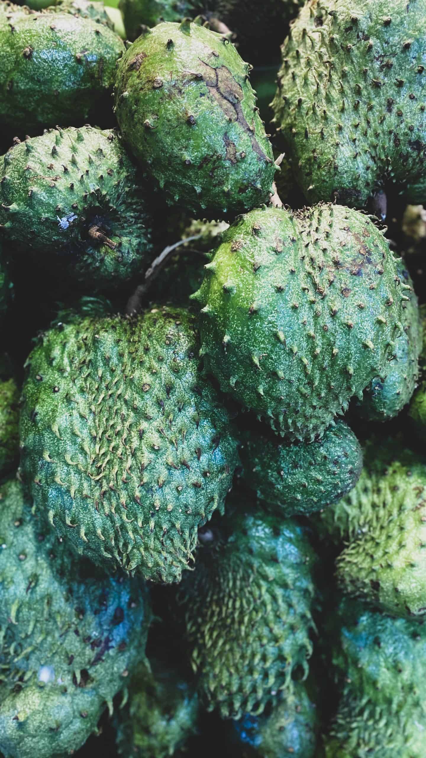 Fruits in Singapore: 25 Tropical Singapore Fruits to Try and Singapore Desserts 17 Fruits in Singapore: 25 Tropical Singapore Fruits to Try and Singapore Desserts