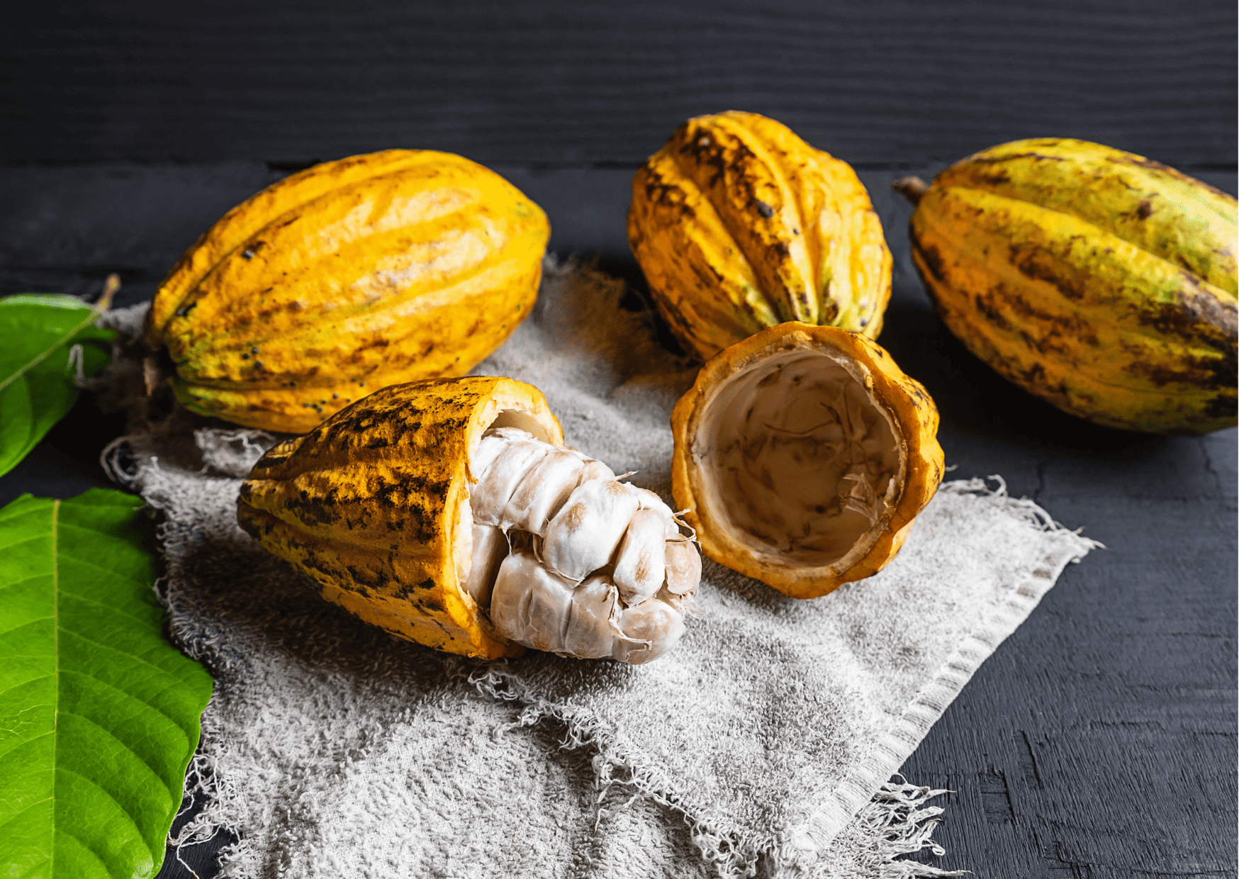 Fruits in Panama - 32 Exotic Panamanian Fruits You Need to Try When in Panama 12 cacao Fruits in Panama Panamanian Fruits Exotic Fruits in Panama