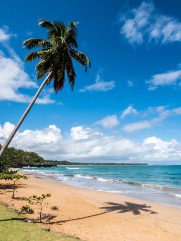 Unique Hidden Gem in the Dominican Republic You Need to Visit