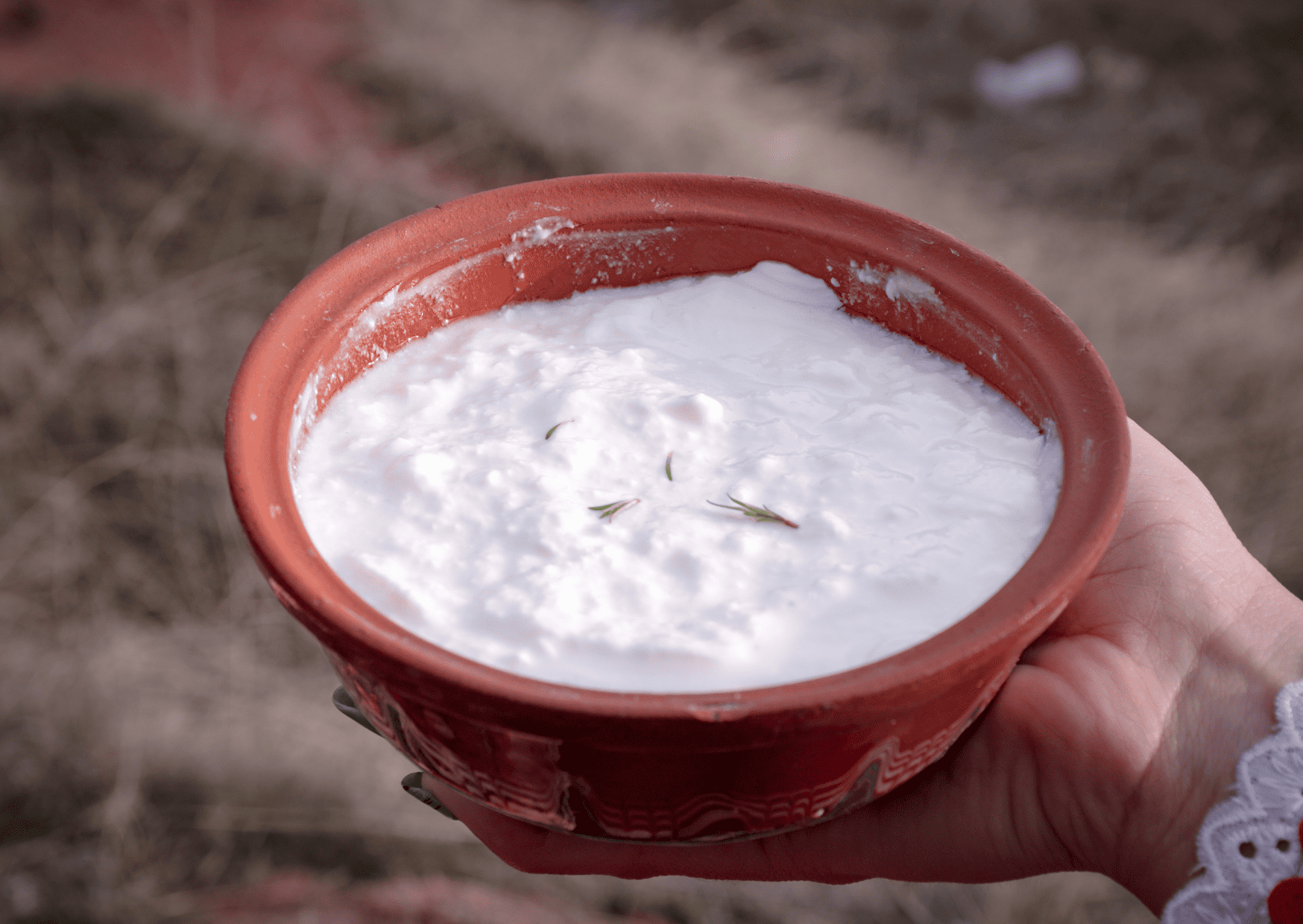 Bulgarian Breakfast Recipes - 10 Traditional Breakfast in Bulgaria You Can't-Miss 8 bulgarian breakfast, traditional breakfast in bulgaria, breakfast in bulgaria