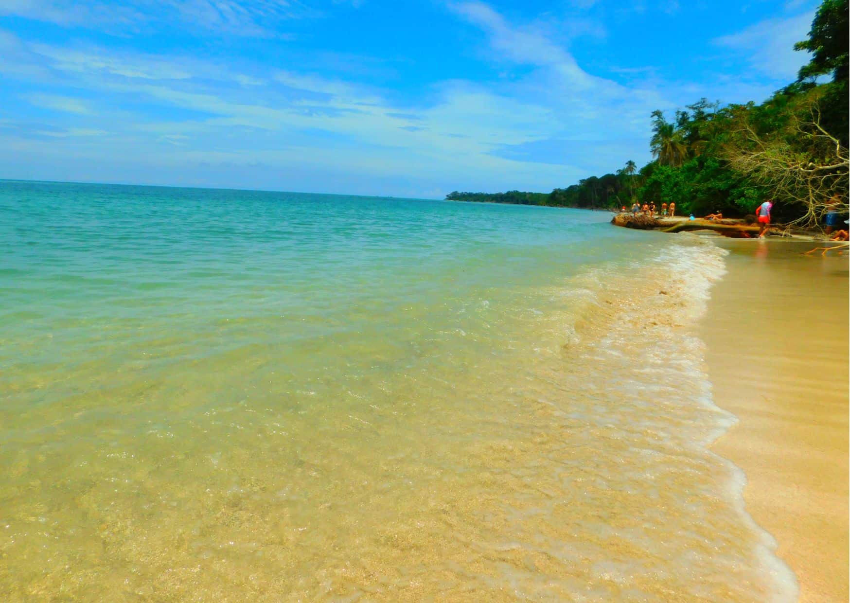 How To Get From Bocas del Toro to Cahuita Best Way 5 How To Get From Bocas del Toro to Cahuita Best Way, Bocas del Toro to Cahuita, Bocas del Toro to Cahuita transfer, cheapest way from Bocas del Toro to Cahuita, bus from Bocas del Toro to Cahuita, from Bocas del Toro to Cahuita by bus, taxi from Bocas del Toro to Cahuita, private transfer from Bocas del Toro to Cahuita, Shared Van from Bocas del Toro to Cahuita, rent a car in Bocas del Toro, bus from Sixaola to Cahuita, bus from Almirante to Sixaola, Bocas del toro to ALmirante, uber from Bocas del Toro to Cahuita