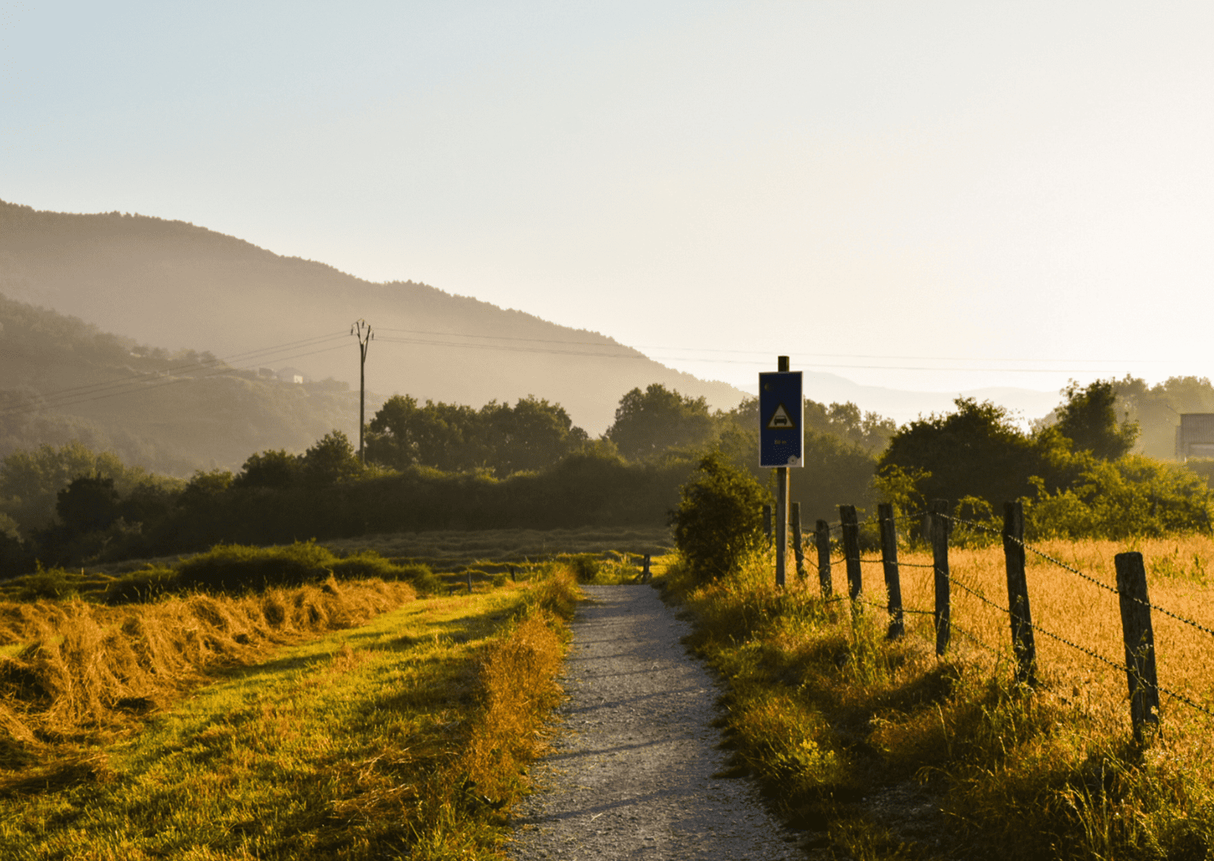 camino de santiago, santiago's road, tu buen camino