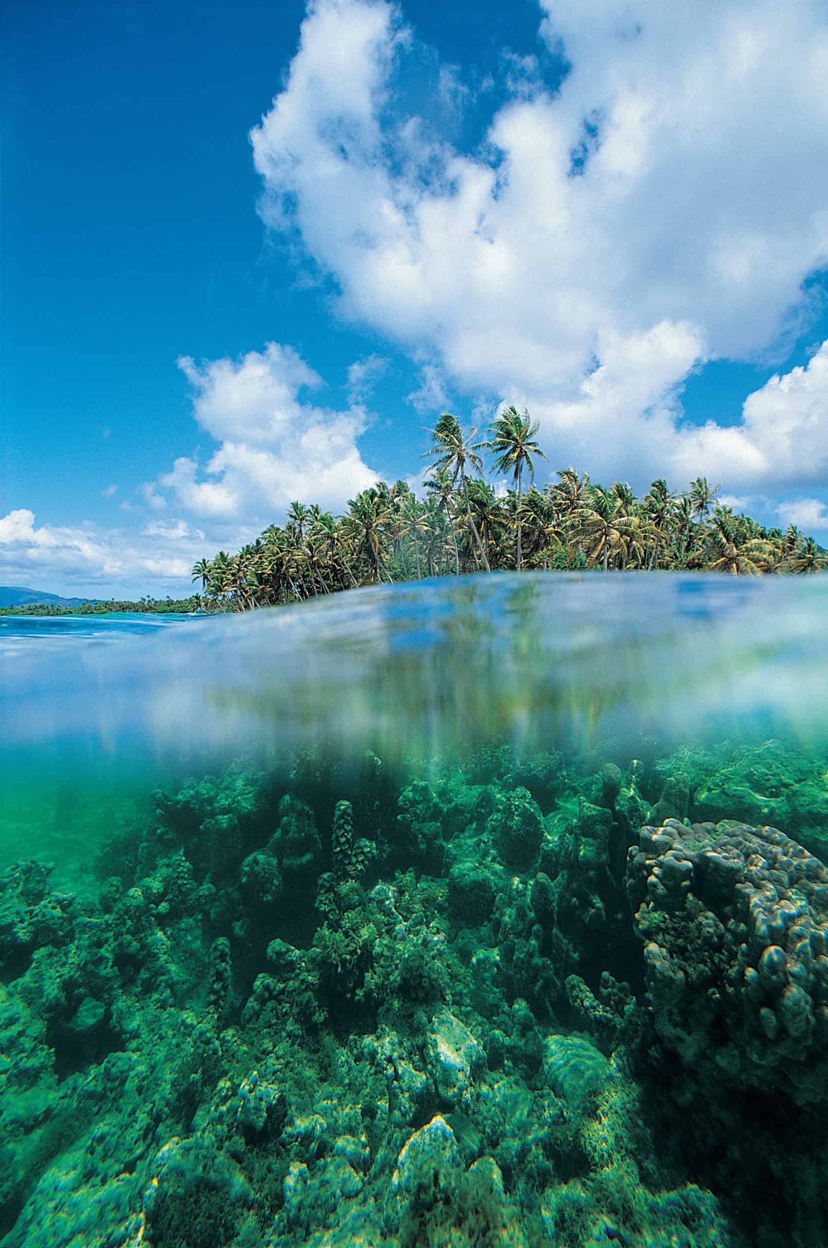 Maldives vs French Polynesia: Which Vacation is Better? 3 Maldives vs French Polynesia, French Polynesia vs Maldives