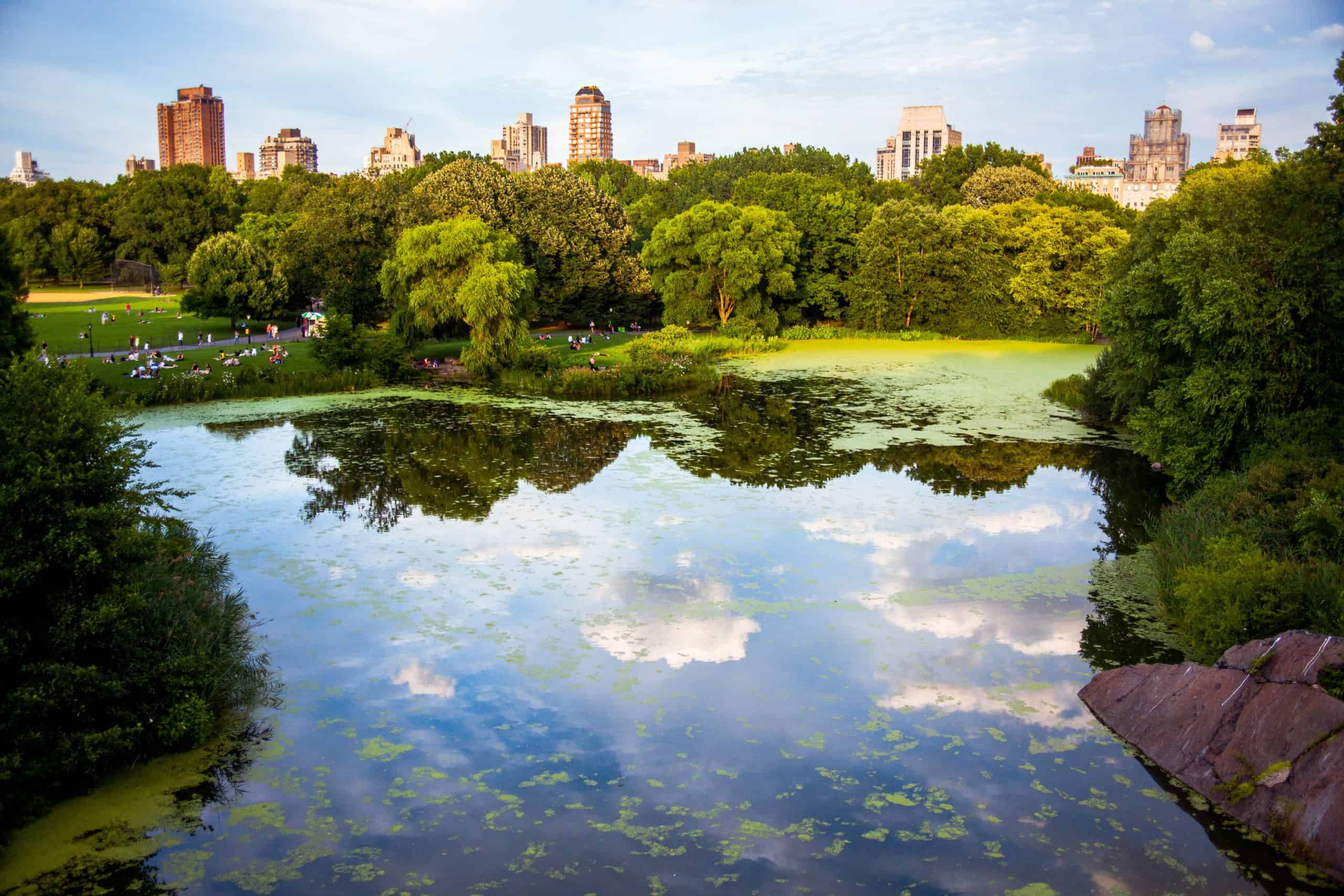 A Useful Travel Guide For New York - How To Make The Most Of Your Trip To NYC 6 new york central park scaled