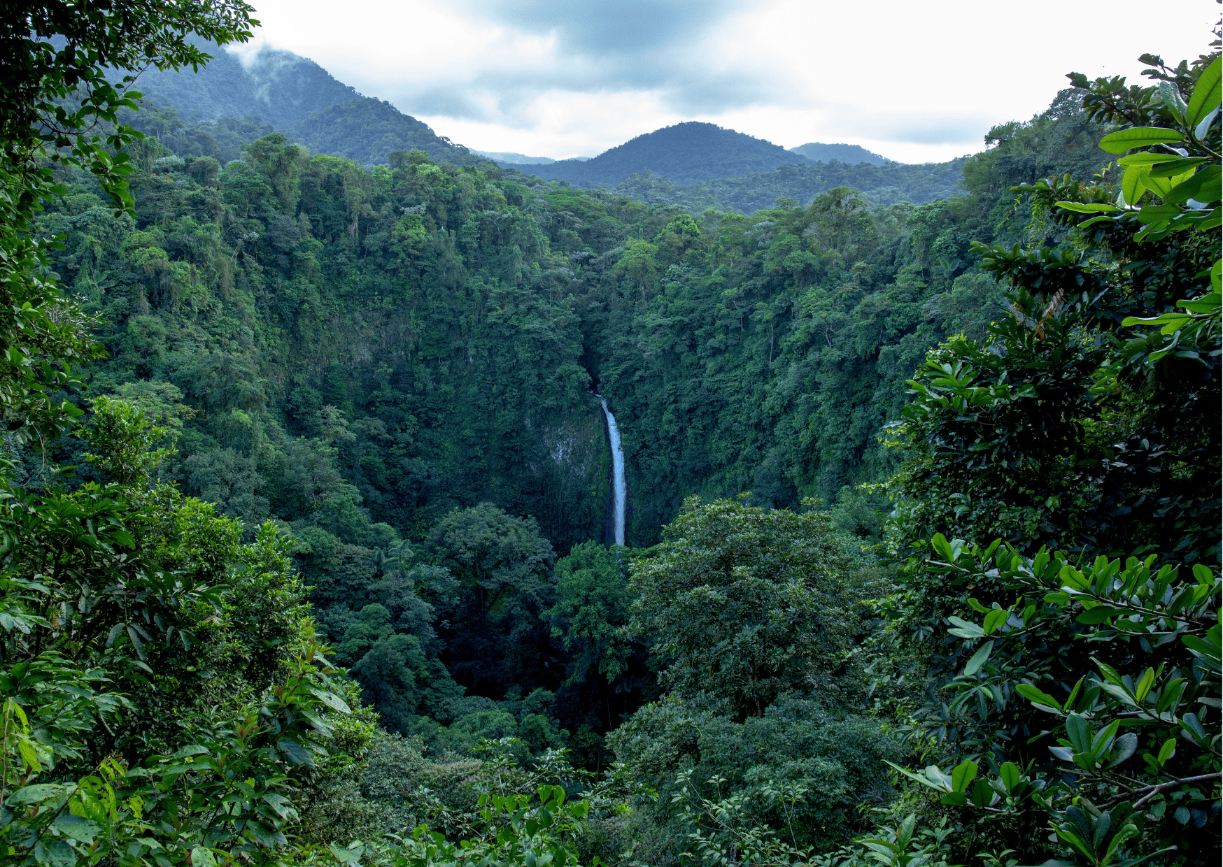 15 Best Restaurants in La Fortuna Costa Rica - Where to Eat 3 15 Best Restaurants in La Fortuna Costa Rica - Where to Eat