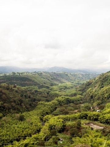 How To Get From Bogota to Armenia Best Way, best way from Bogota to Armenia, cheapest way from Bogota to Armenia, Bogota to Armenia, bus from Bogota to Armenia, by plane from Bogota to Armenia, Bogota to Armenia by van, Bogota to Armenia by bus,