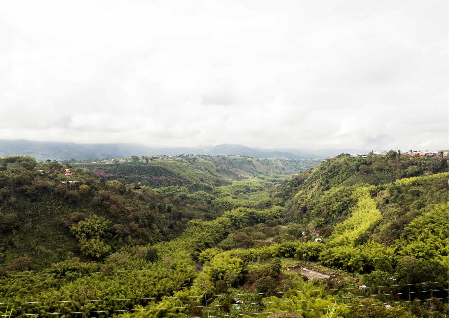 How To Get From Bogota to Armenia Best Way 2 How To Get From Bogota to Armenia Best Way, best way from Bogota to Armenia, cheapest way from Bogota to Armenia, Bogota to Armenia, bus from Bogota to Armenia, by plane from Bogota to Armenia, Bogota to Armenia by van, Bogota to Armenia by bus,
