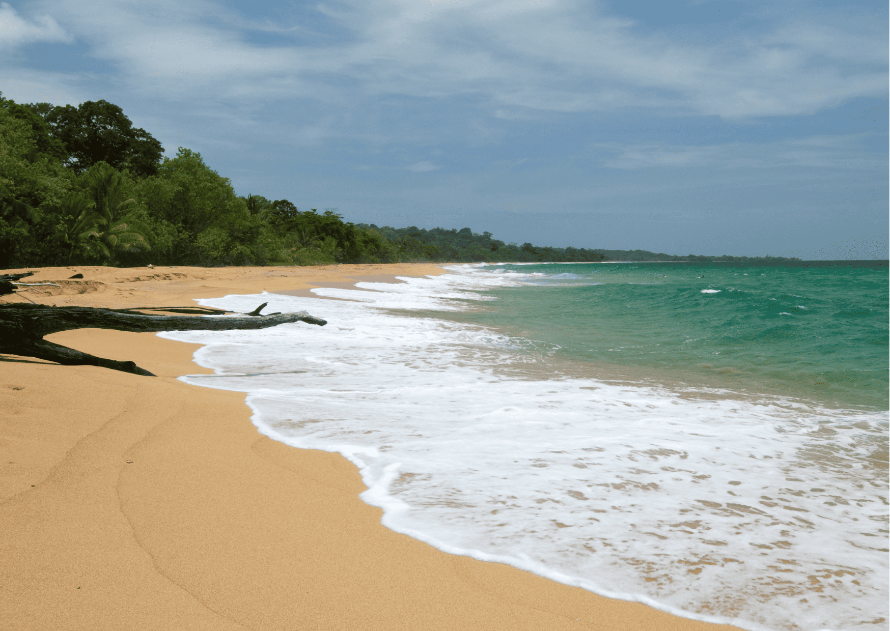 Dreaming of Paradise? 9 Tropical Places Perfect for Long-Term Living 14 9 Best Tropical Places for Living That Make You Fall In Love, Best Bocas del Toro Tours: Top Guide to Bocas del Toro Tours
