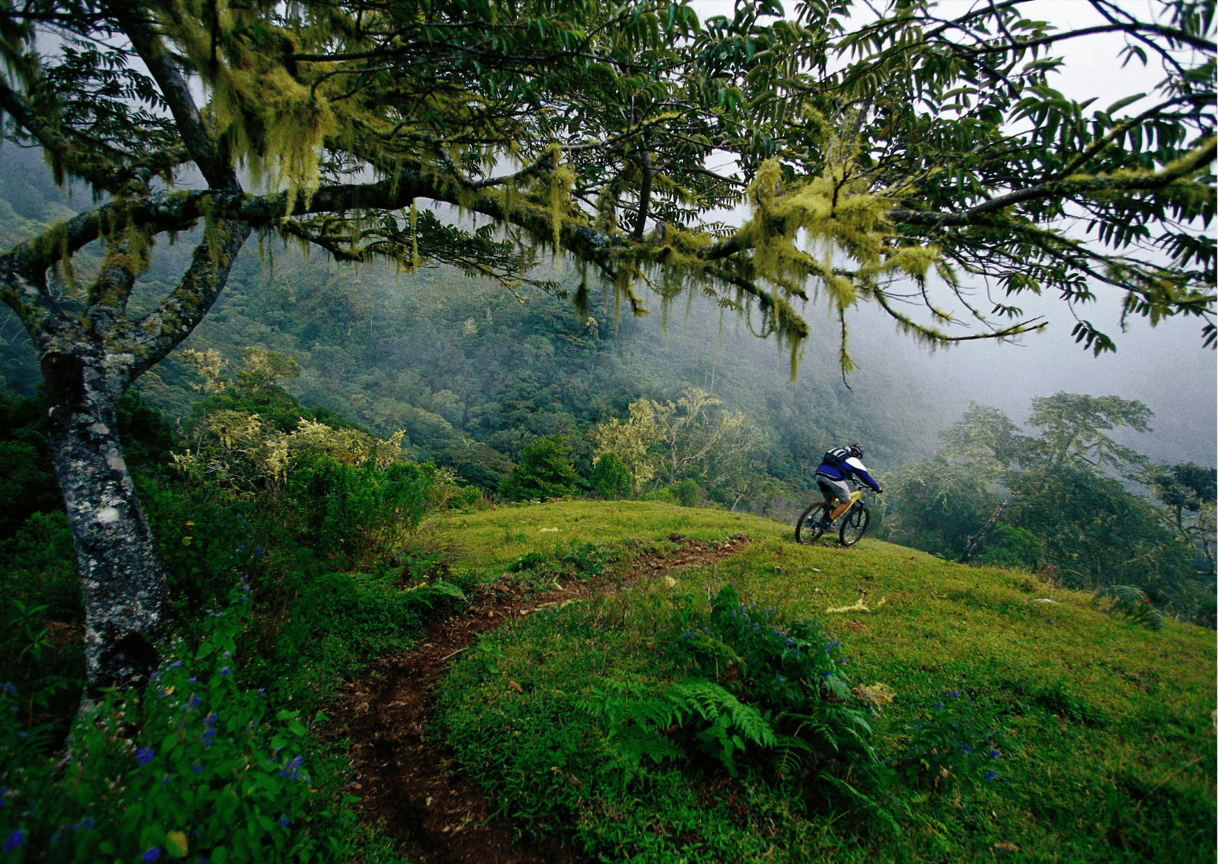 Costa Rica Dirt Bike Tours: Adventure Tours in Costa Rica 3 Costa Rica Dirt Bike Tours: Adventure Tours in Costa Rica