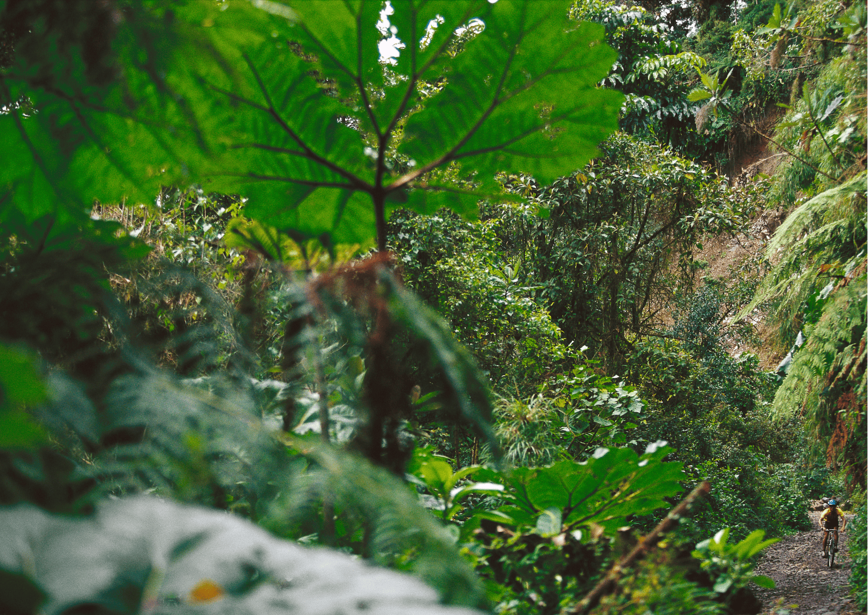 Costa Rica Dirt Bike Tours: Adventure Tours in Costa Rica 4 Costa Rica Dirt Bike Tours: Adventure Tours in Costa Rica