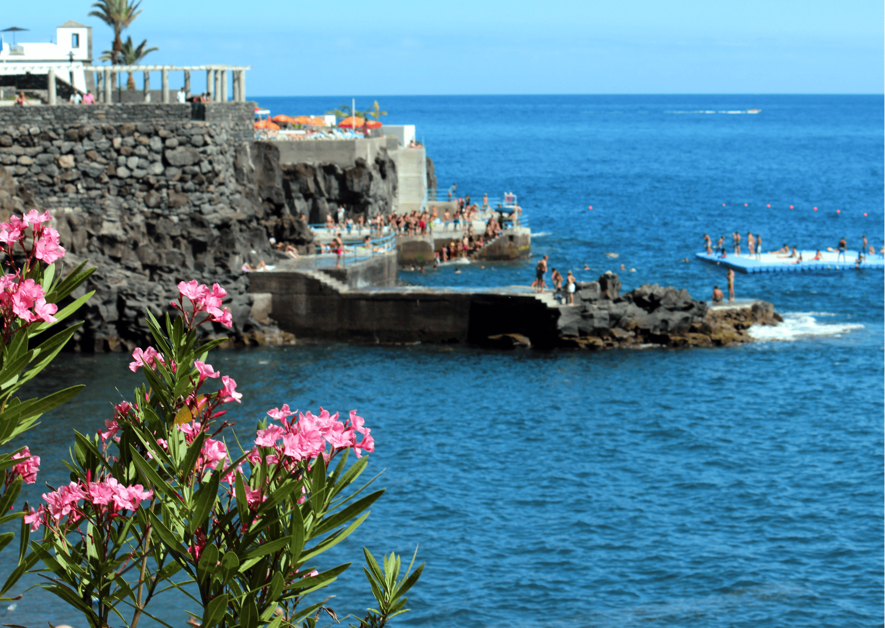 Algarve vs Madeira: Which is Better for Travel in Portugal? 7 Funchal Madeira Algarve vs Madeira Madeira vs Algarve