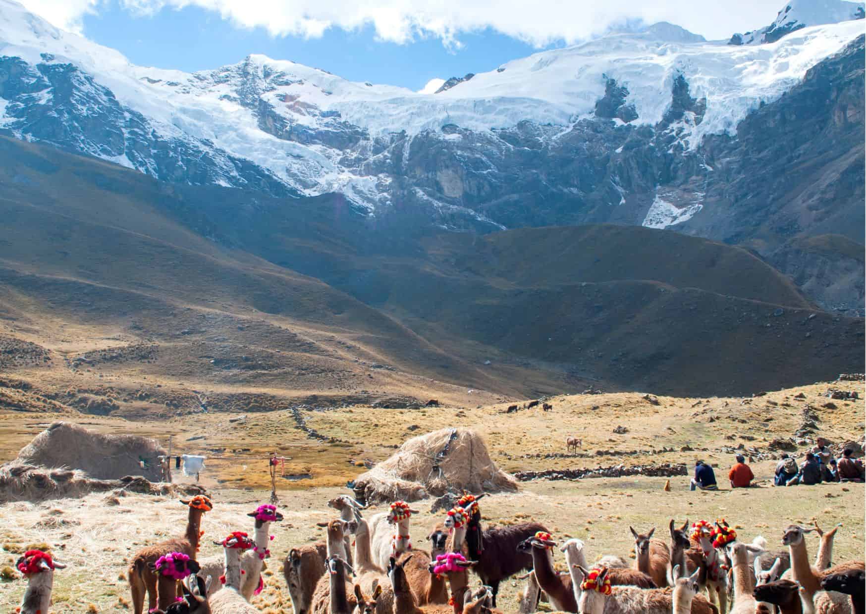 How To Get From Lima to Huancayo Best Way 3 How To Get From Lima to Huancayo Best Way, cheapest way from Lima to Huancayo, Lima to Huancayo, bus from Lima to Huancayo, by plane from Lima to Huancayo, best way from Lima to Huancayo, taxi from Lima to Huancayo