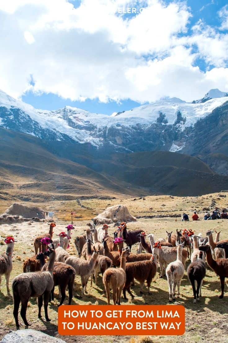How To Get From Lima to Huancayo Best Way 1 How To Get From Lima to Huancayo Best Way, cheapest way from Lima to Huancayo, Lima to Huancayo, bus from Lima to Huancayo, by plane from Lima to Huancayo, best way from Lima to Huancayo, taxi from Lima to Huancayo