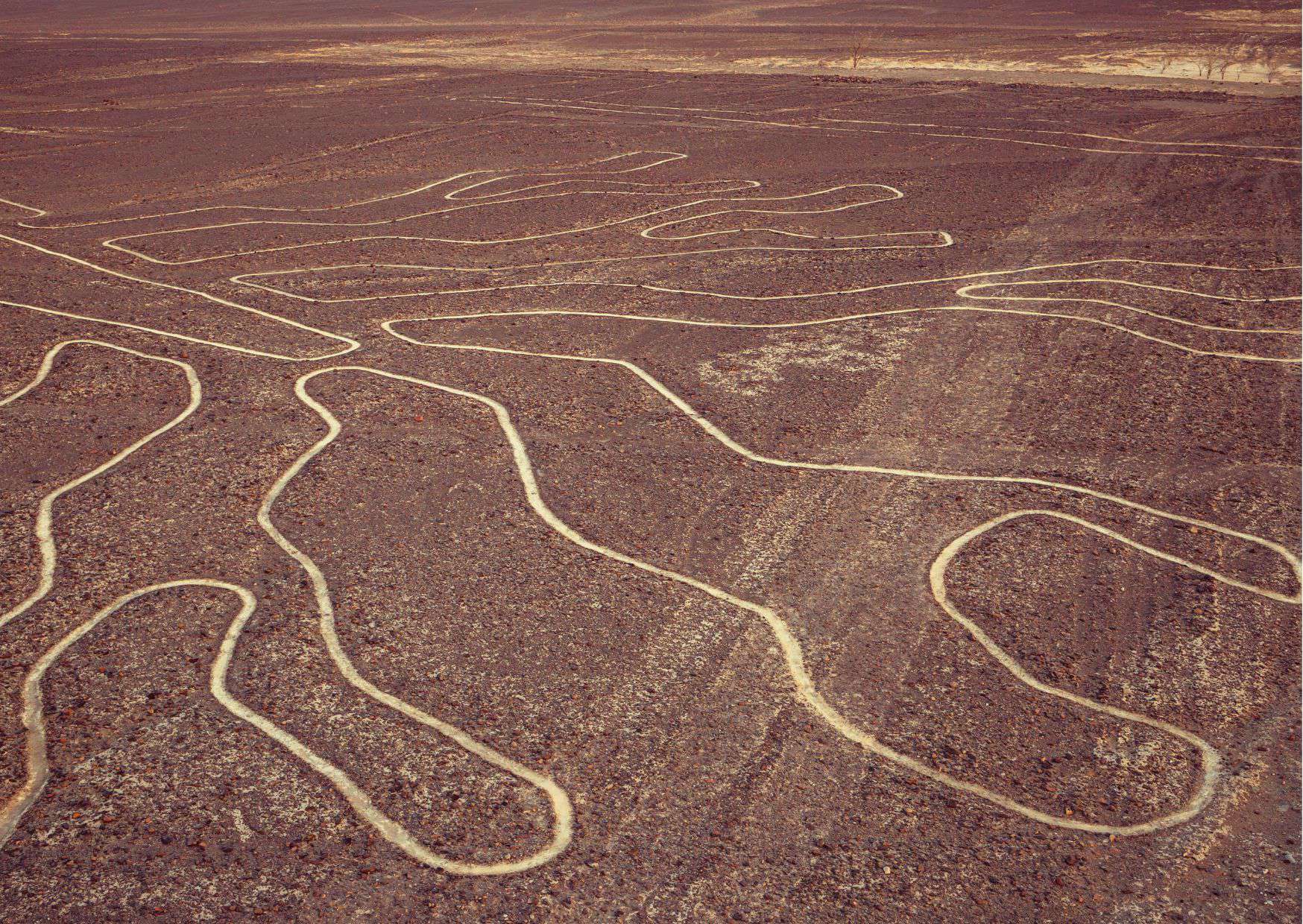 How To Get From Lima to Nazca Best Way 3 How To Get From Lima to Nazca Best Way, cheapest way from Lima to Nazca, Lima to Nazca, bus from Lima to Nazca, by plane from Lima to Nazca, best way from Lima to Nazca, taxi from Lima to Nazca
