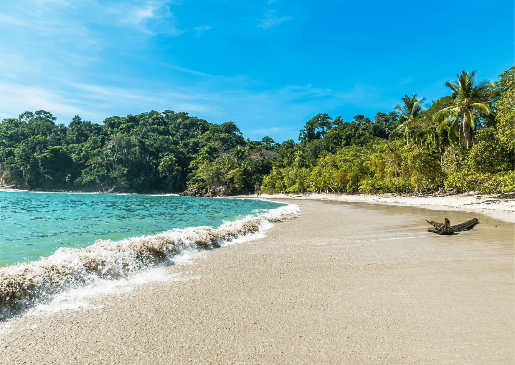 Ultimate Guide to Best Tours in Manuel Antonio Costa Rica 3 Tours in Manuel Antonio Costa Rica Manuel Antonio Beach
