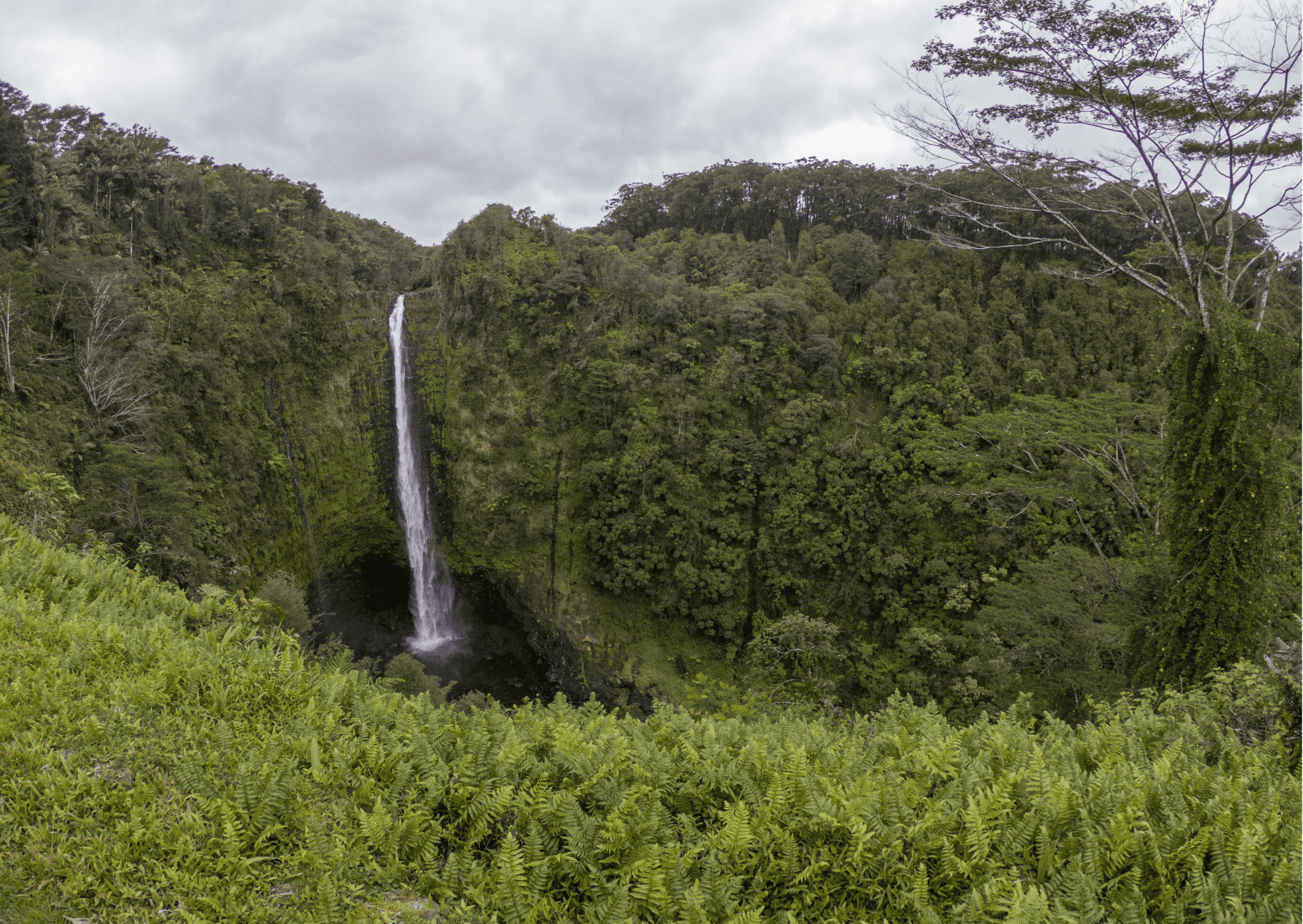 Waterfall Maui Hike: Top Hiking Trails in Maui to Visit 5 Waterfall Maui Hike: Top Hiking Trails in Maui to Visit