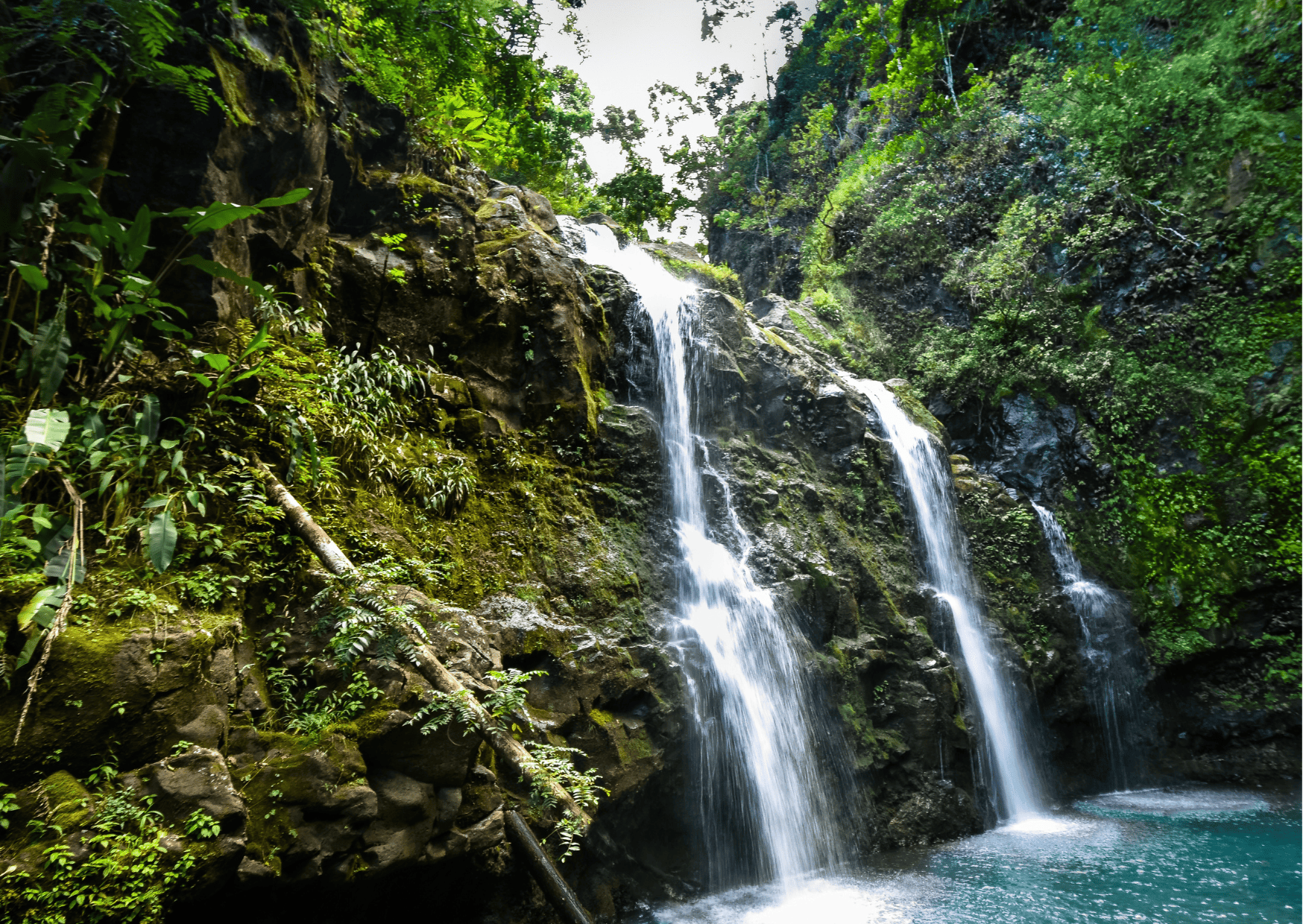 Waterfall Maui Hike: Top Hiking Trails in Maui to Visit 4 Waterfall Maui Hike: Top Hiking Trails in Maui to Visit