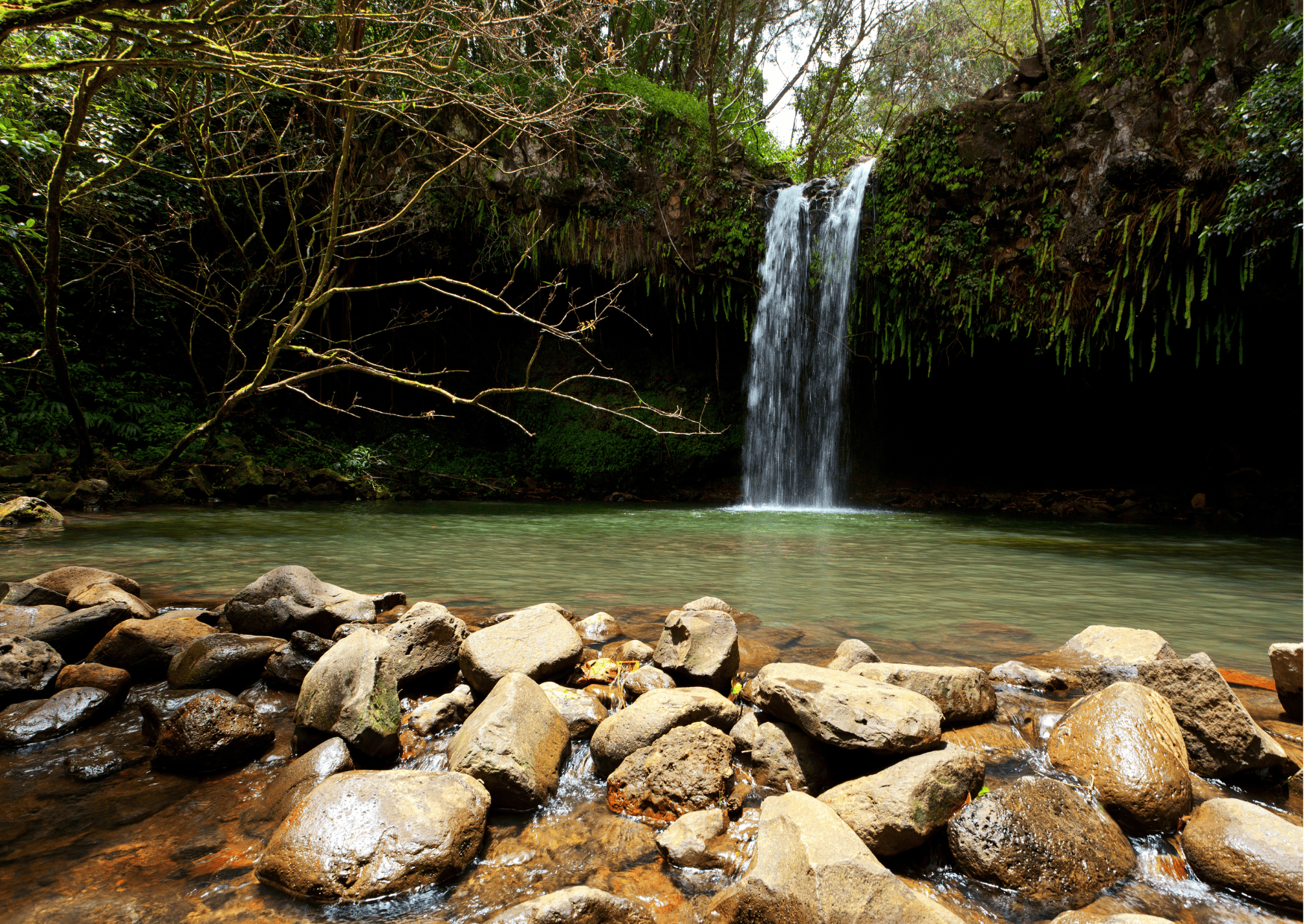 Waterfall Maui Hike: Top Hiking Trails in Maui to Visit 2 Waterfall Maui Hike: Top Hiking Trails in Maui to Visit