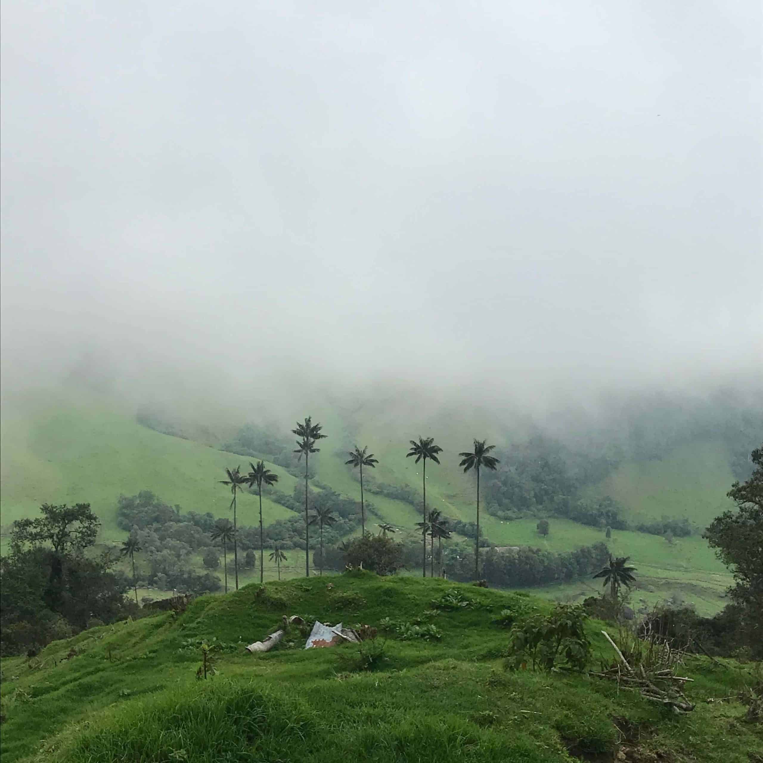 Is Flying for Dental Care Worth It? Colombia Case Study: Why Americans Are Flying to Colombia for Dental Work 1 dental tourism in Colombia