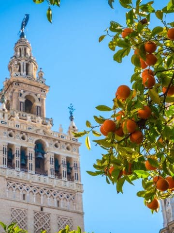 7 Most Popular Landmarks To Visit In Spain, 10 Common Mistakes To Avoid In Seville And How To Avoid Them, How To Get From Lagos to Seville Best Way, cheapest way from Lagos to Seville, Lagos to Seville, shuttle bus from Lagos to Seville, taxi from Lagos to Seville, Uber from Lagos to Seville, Lagos to Seville by bus, bus fare from Lagos to Seville, best way from Lagos to Seville, train from Lagos to Seville