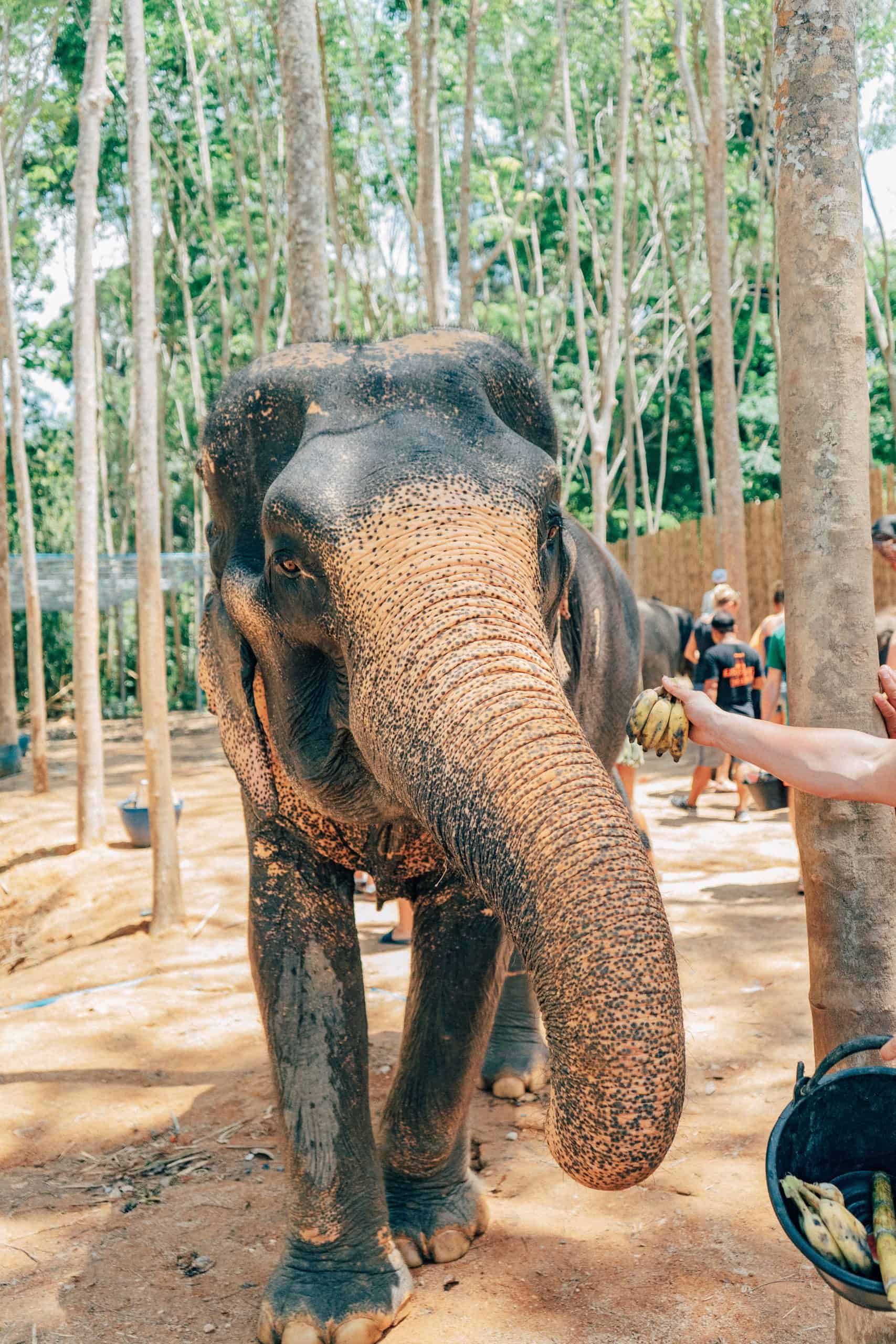 Phuket vs Bali - Which is the Better Vacation For You? 3 Phuket vs Bali