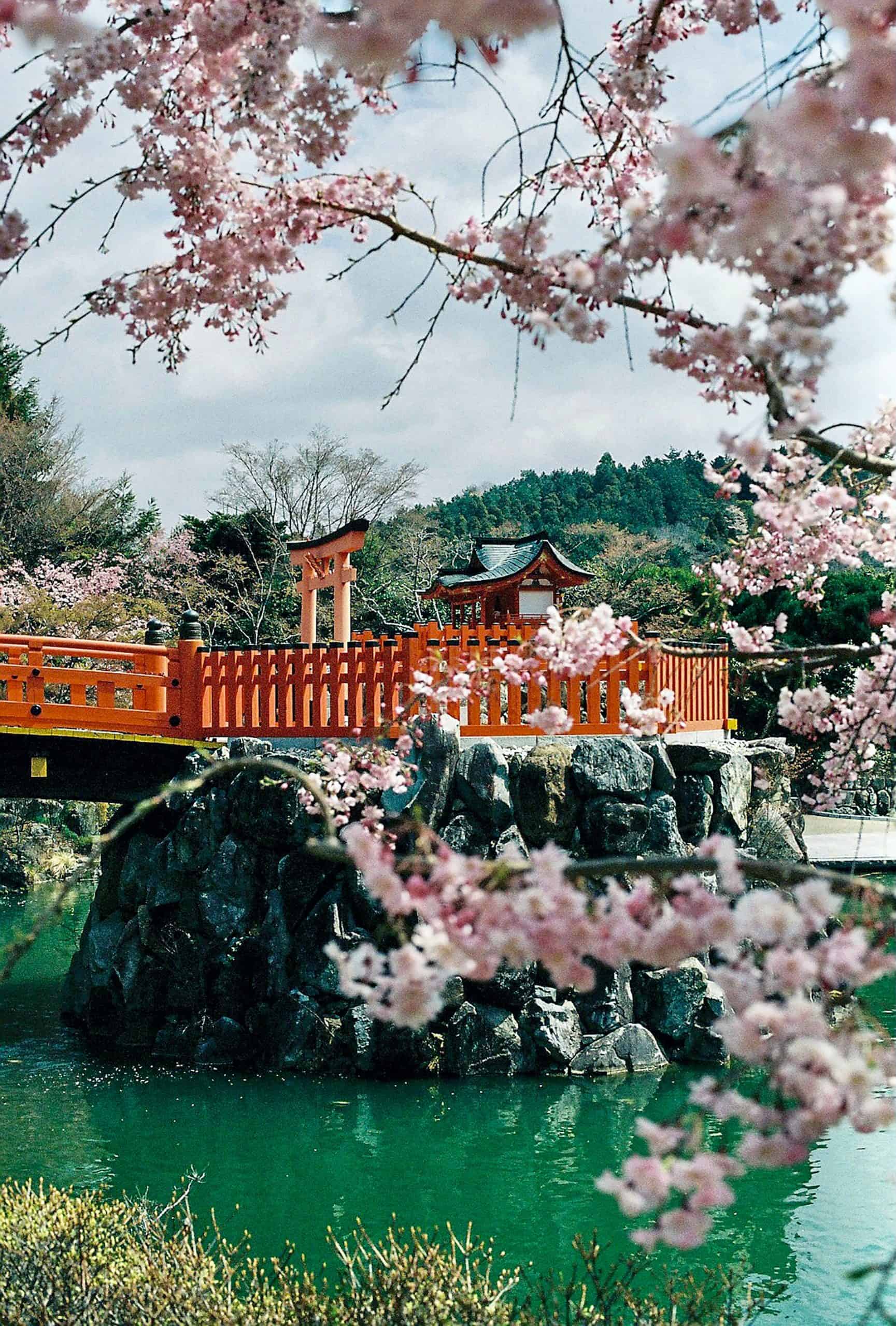 Zen and Beyond: Navigating Japan's Cultural Kaleidoscope 3 Zen and Beyond: Navigating Japan's Cultural Kaleidoscope