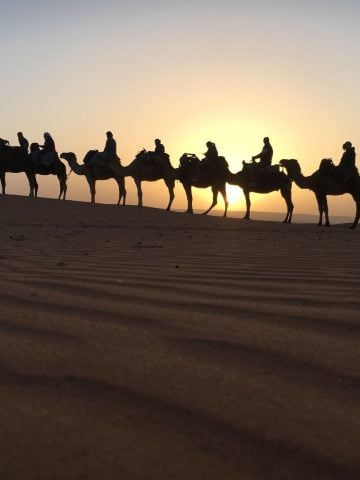 How To Get From Marrakech to Merzouga Best Way, cheapest way from Marrakech to Merzouga, Marrakech to Merzouga, bus from Marrakech to Merzouga, taxi Marrakech to Merzouga, Uber Marrakech to Merzouga, Marrakech to Merzouga by bus, van from Marrakech to Merzouga, best way from Marrakech to Merzouga, train from Marrakech to Merzouga,