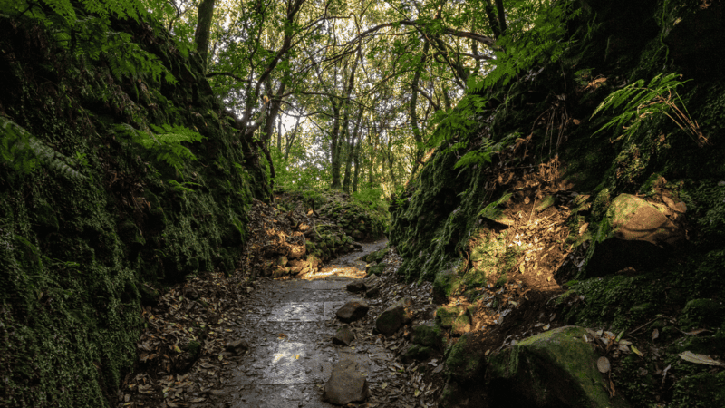 5-Day Madeira Itinerary: Uncover the Best of Madeira Portugal 4 Levada do Caldeirão Verde in Madeira Portugal - Madeira Itinerary 5 Days